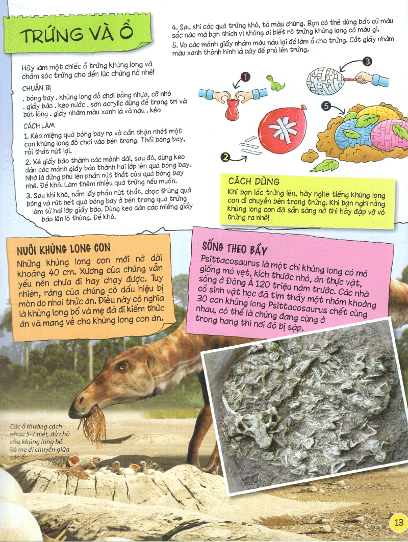 tìm hiểu về khủng long - Ảnh 14