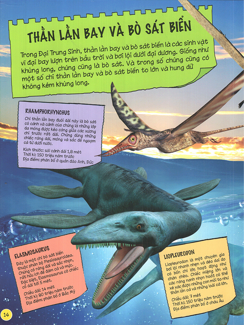 tìm hiểu về khủng long - Ảnh 15