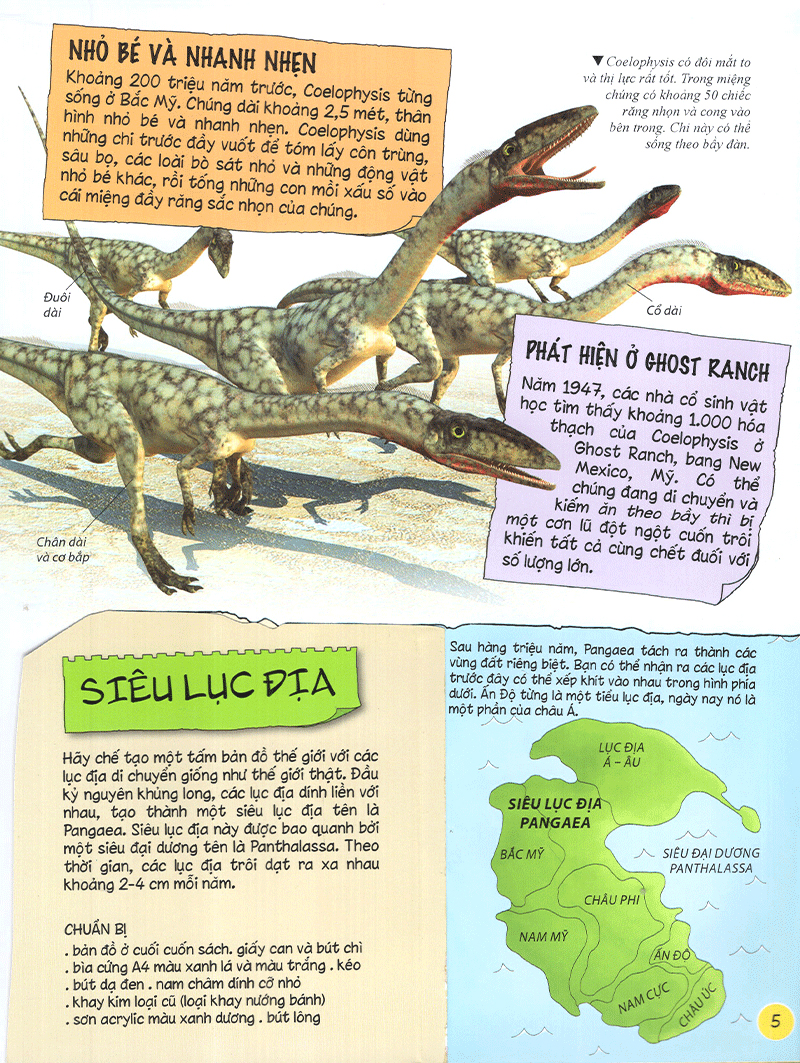 tìm hiểu về khủng long - Ảnh 6