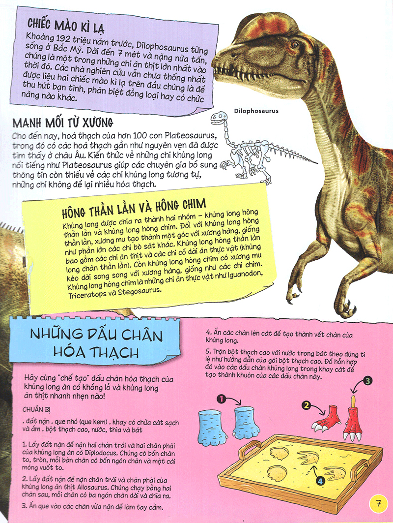 tìm hiểu về khủng long - Ảnh 8