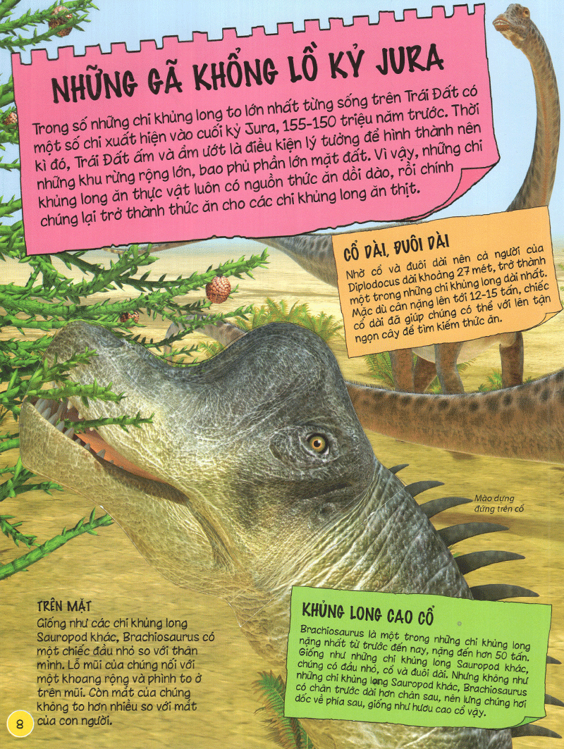 tìm hiểu về khủng long - Ảnh 9
