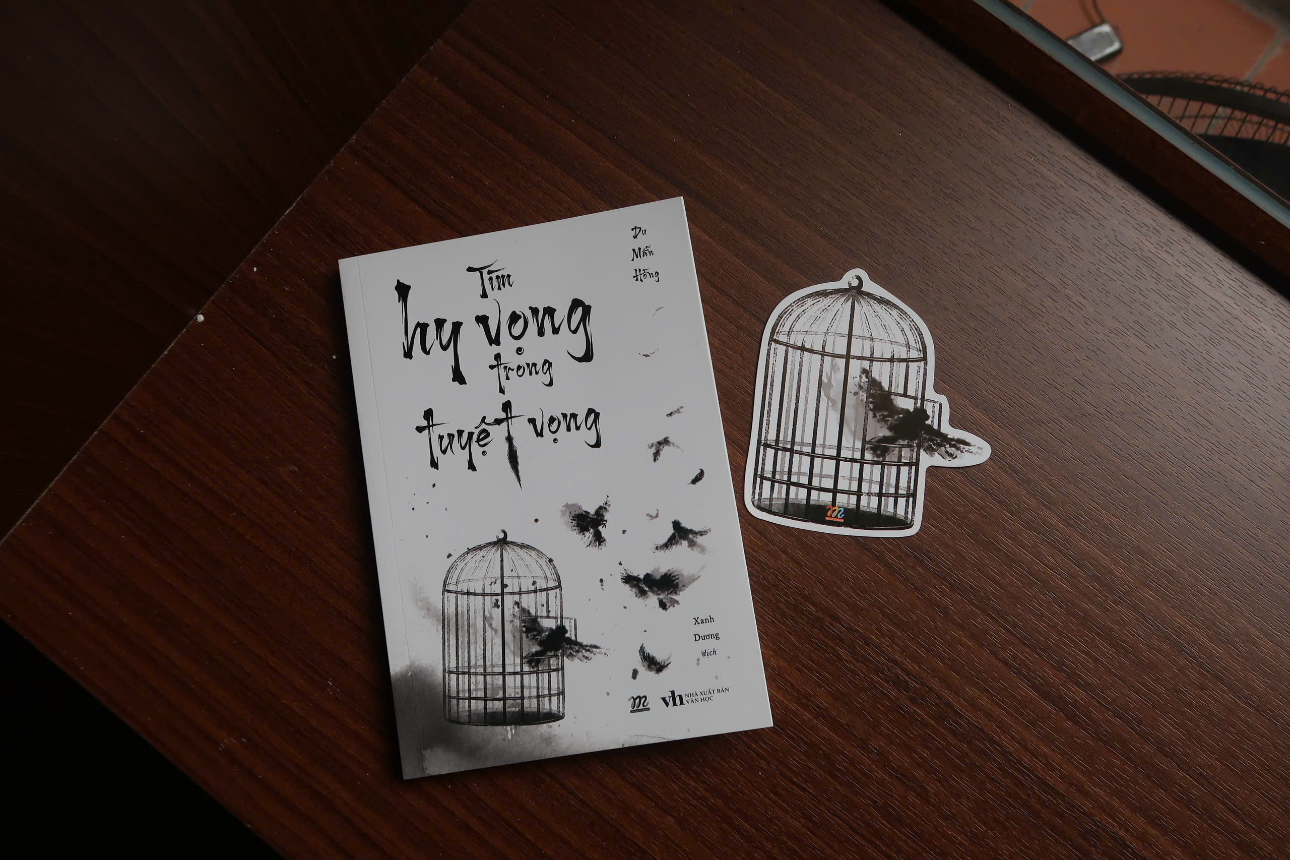 Tìm Hy Vọng Trong Tuyệt Vọng - Ảnh 3