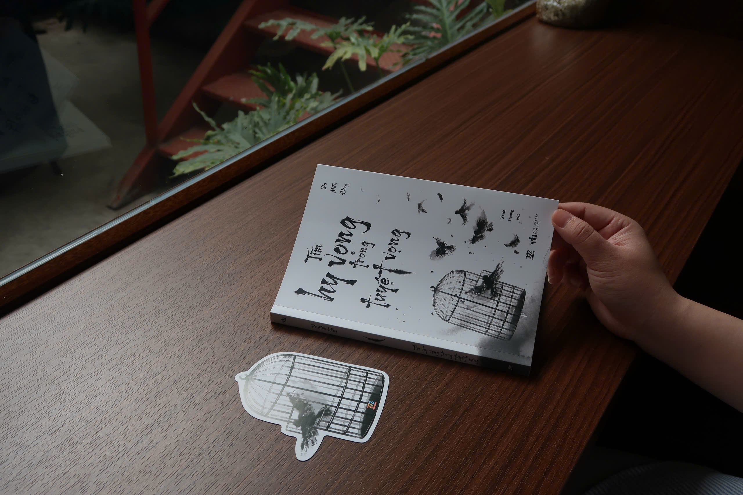 Tìm Hy Vọng Trong Tuyệt Vọng - Ảnh 4