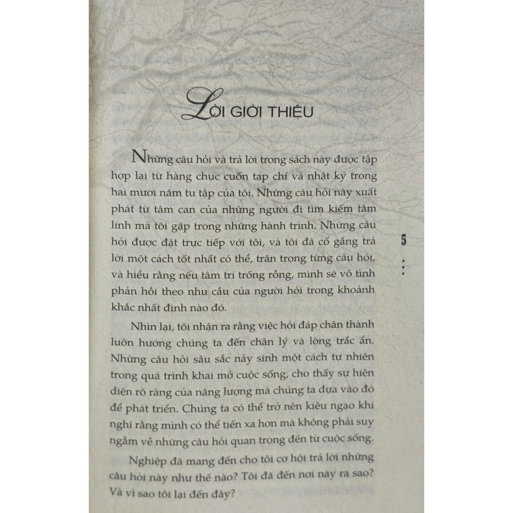 tìm lời đáp từ rừng thẳm - questions from the city, answers from the forest - Ảnh 3