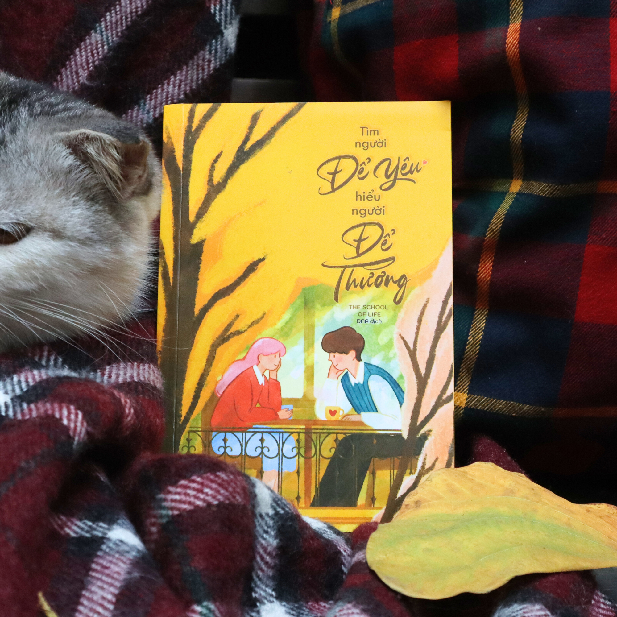 Tìm Người Để Yêu - Hiểu Người Để Thương - Ảnh 4