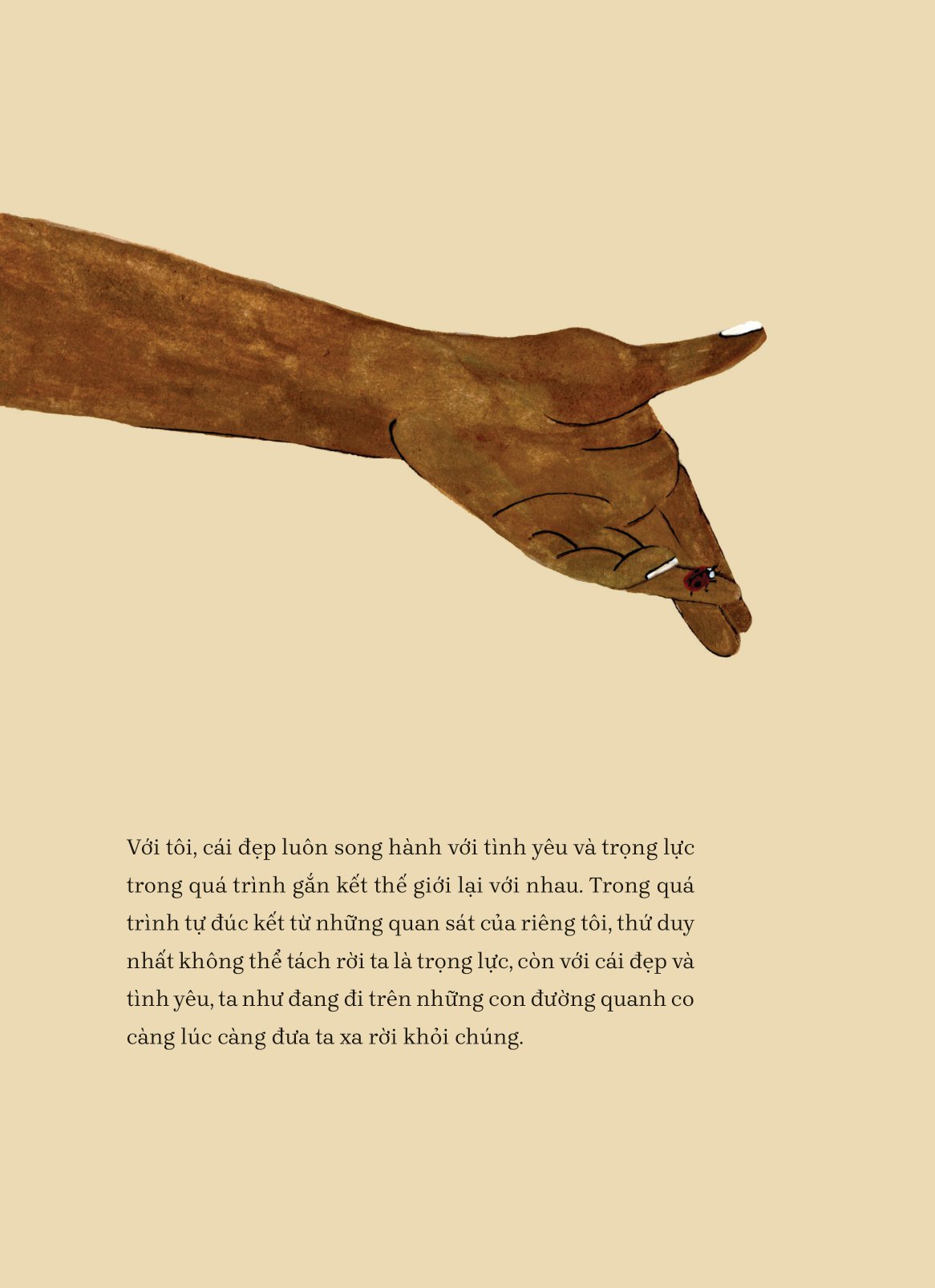 tìm về và kết nối với vẻ đẹp tiềm ẩn quanh ta - everything, beautiful - Ảnh 13