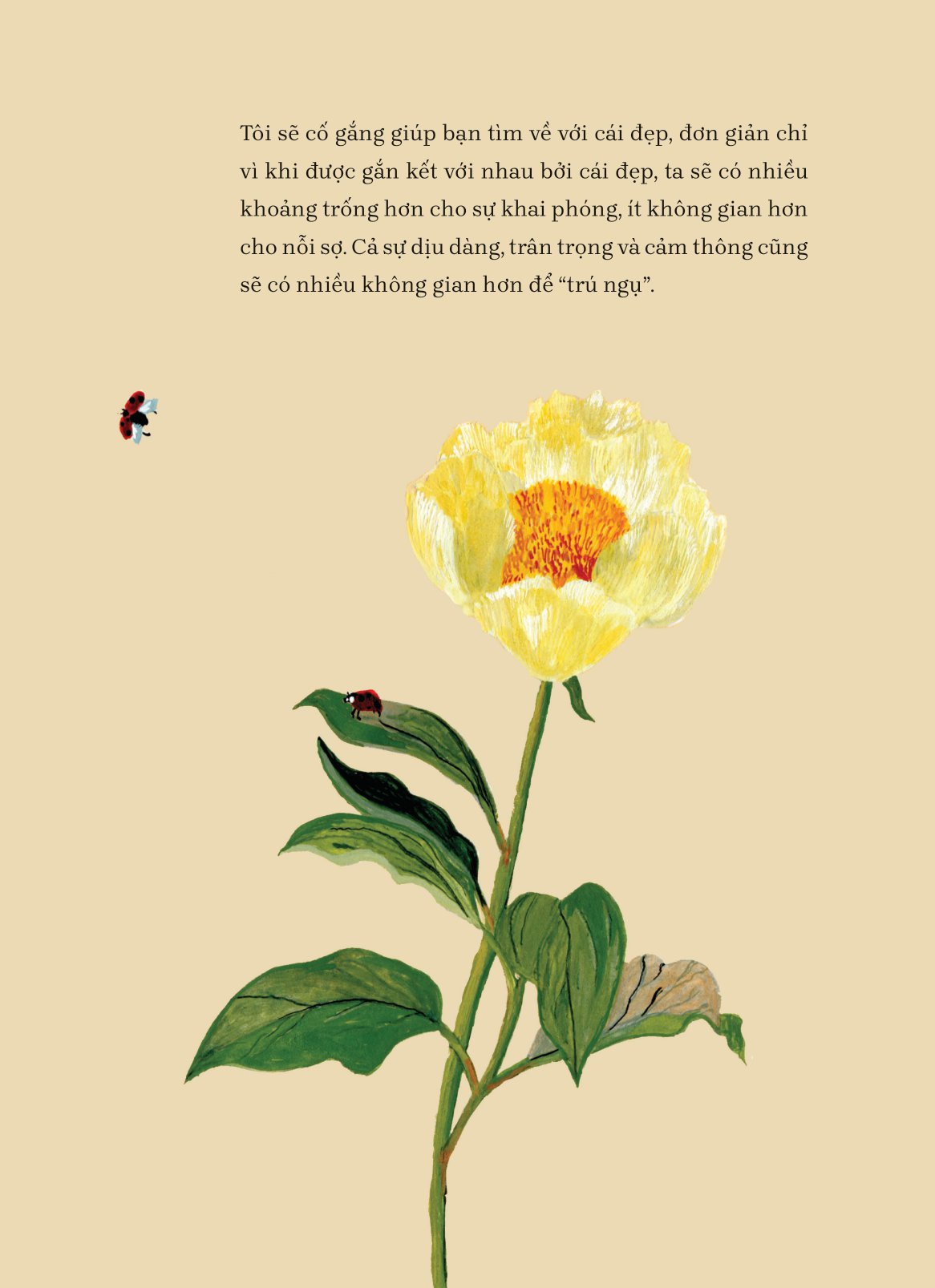 tìm về và kết nối với vẻ đẹp tiềm ẩn quanh ta - everything, beautiful - Ảnh 14