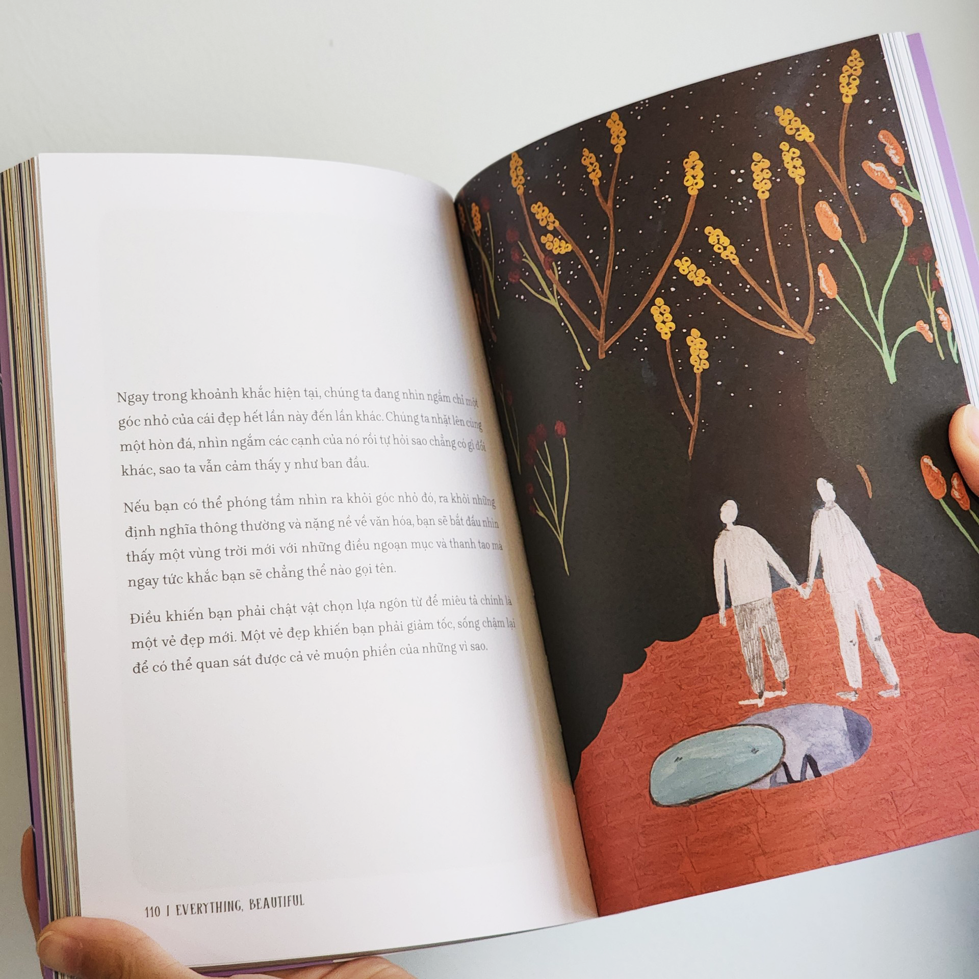 tìm về và kết nối với vẻ đẹp tiềm ẩn quanh ta - everything, beautiful - Ảnh 5