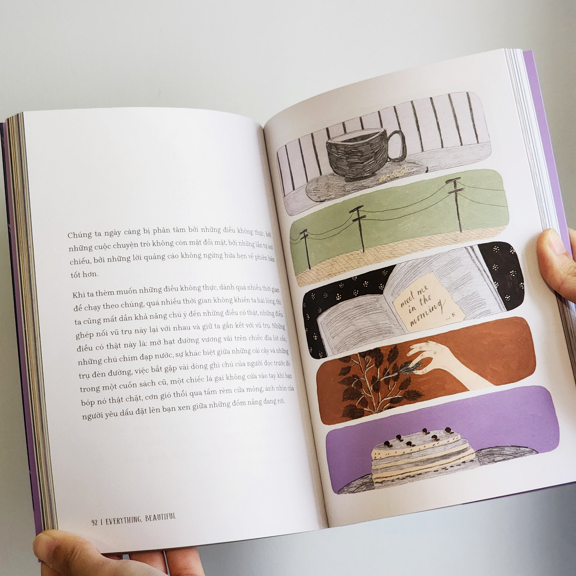 tìm về và kết nối với vẻ đẹp tiềm ẩn quanh ta - everything, beautiful - Ảnh 6