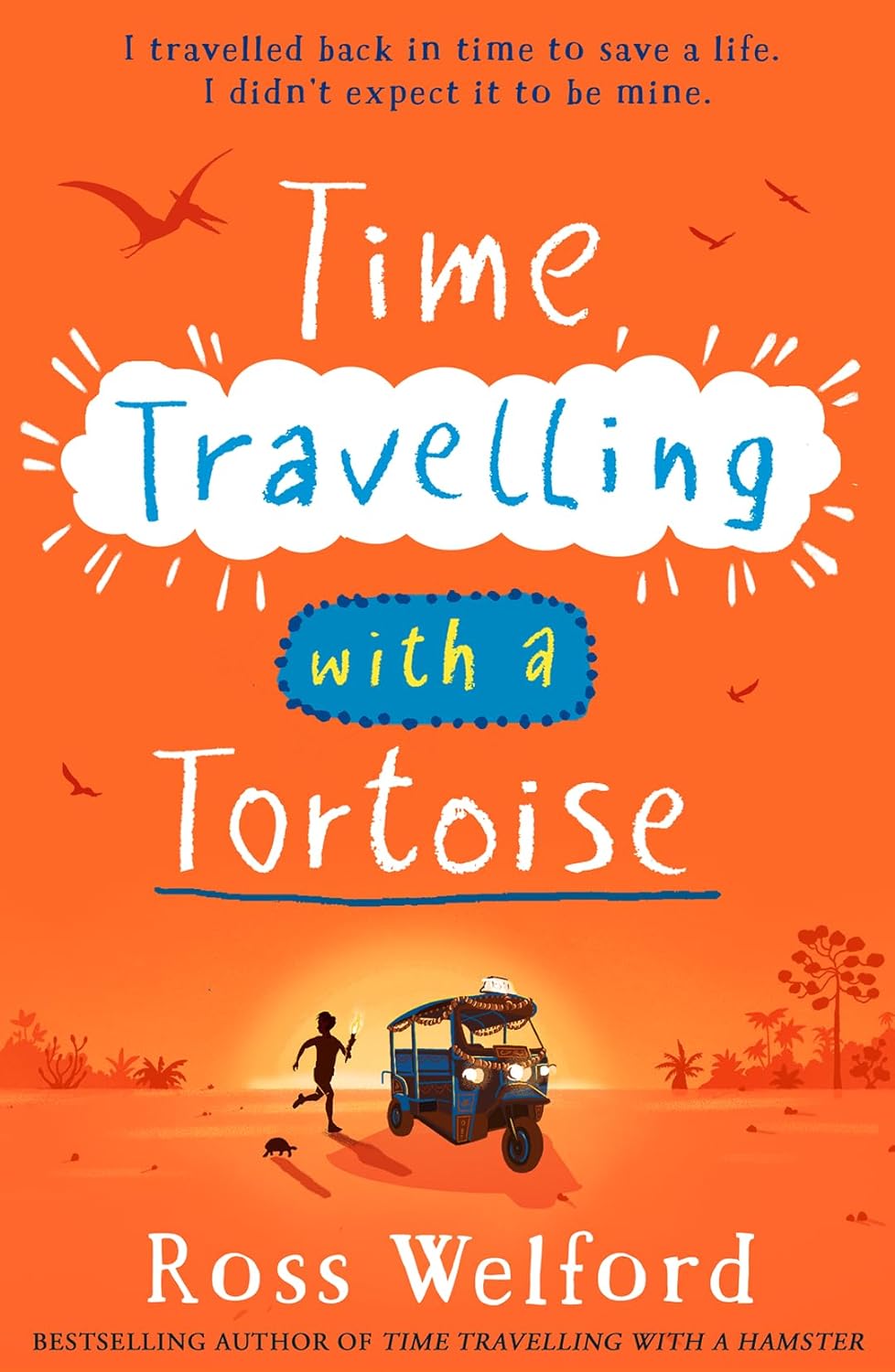time travelling with a tortoise - Ảnh 3