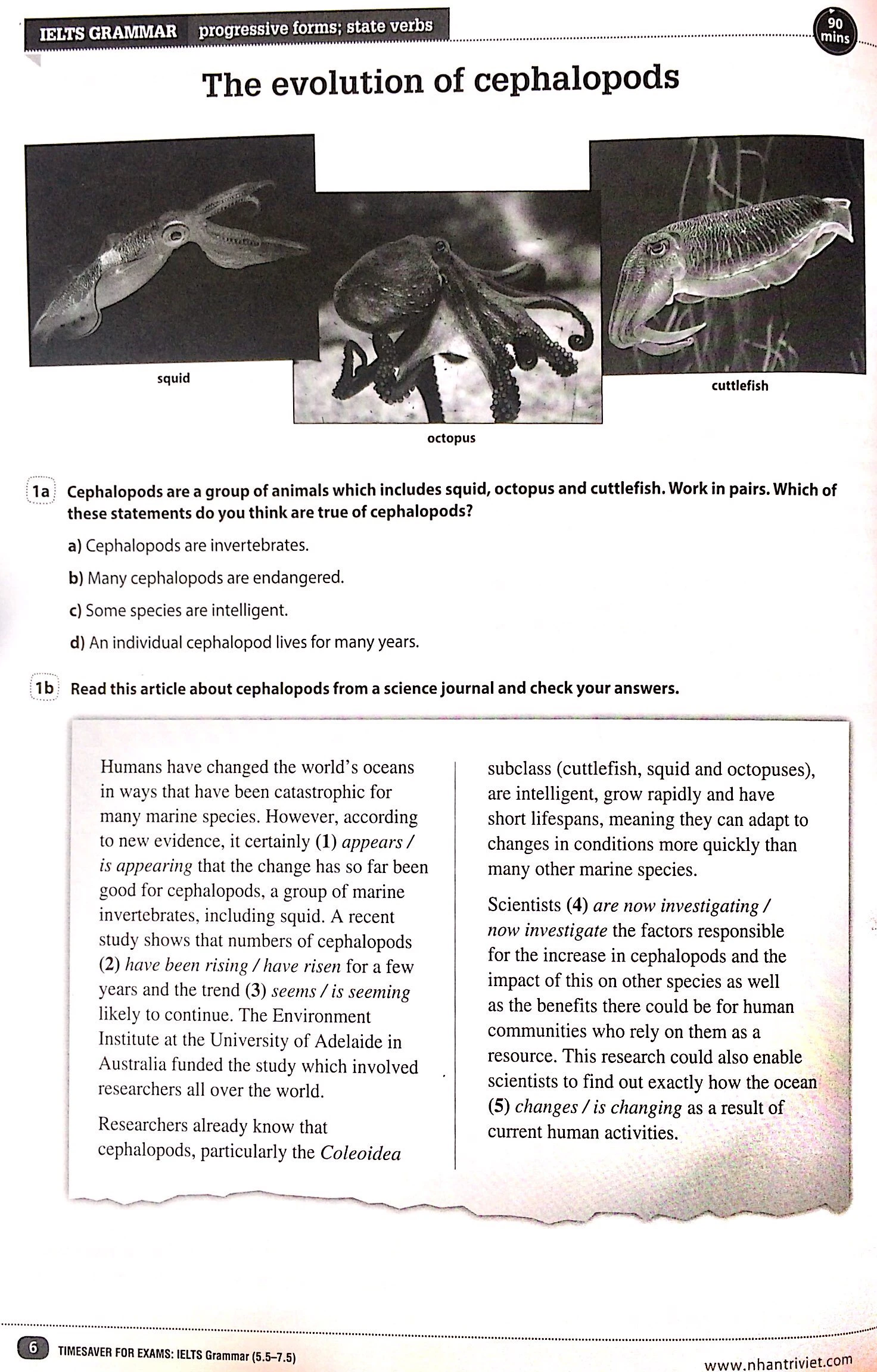 timesaver for exams - ielts grammar 5.5 - 7.5 - Ảnh 2