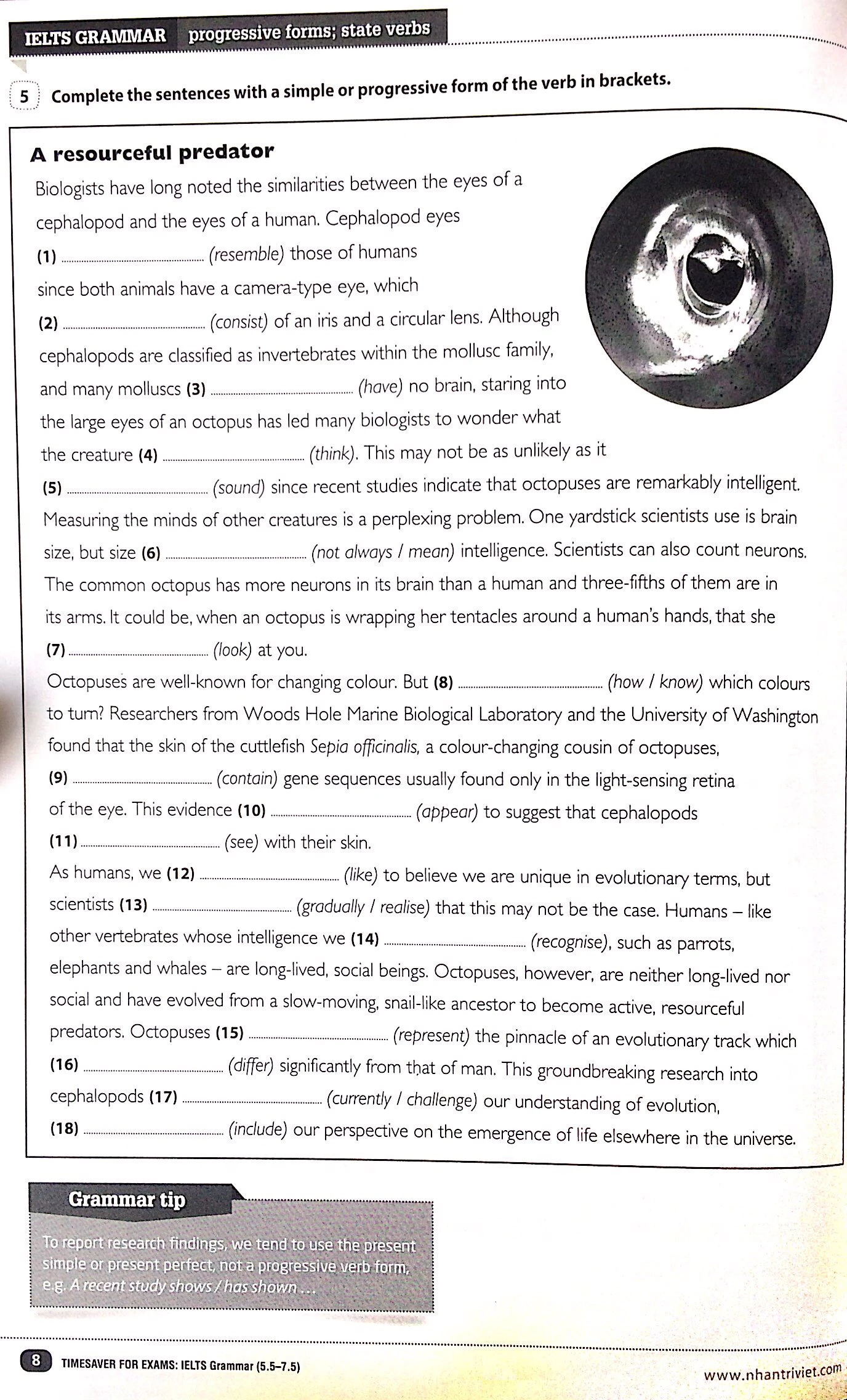 timesaver for exams - ielts grammar 5.5 - 7.5 - Ảnh 4