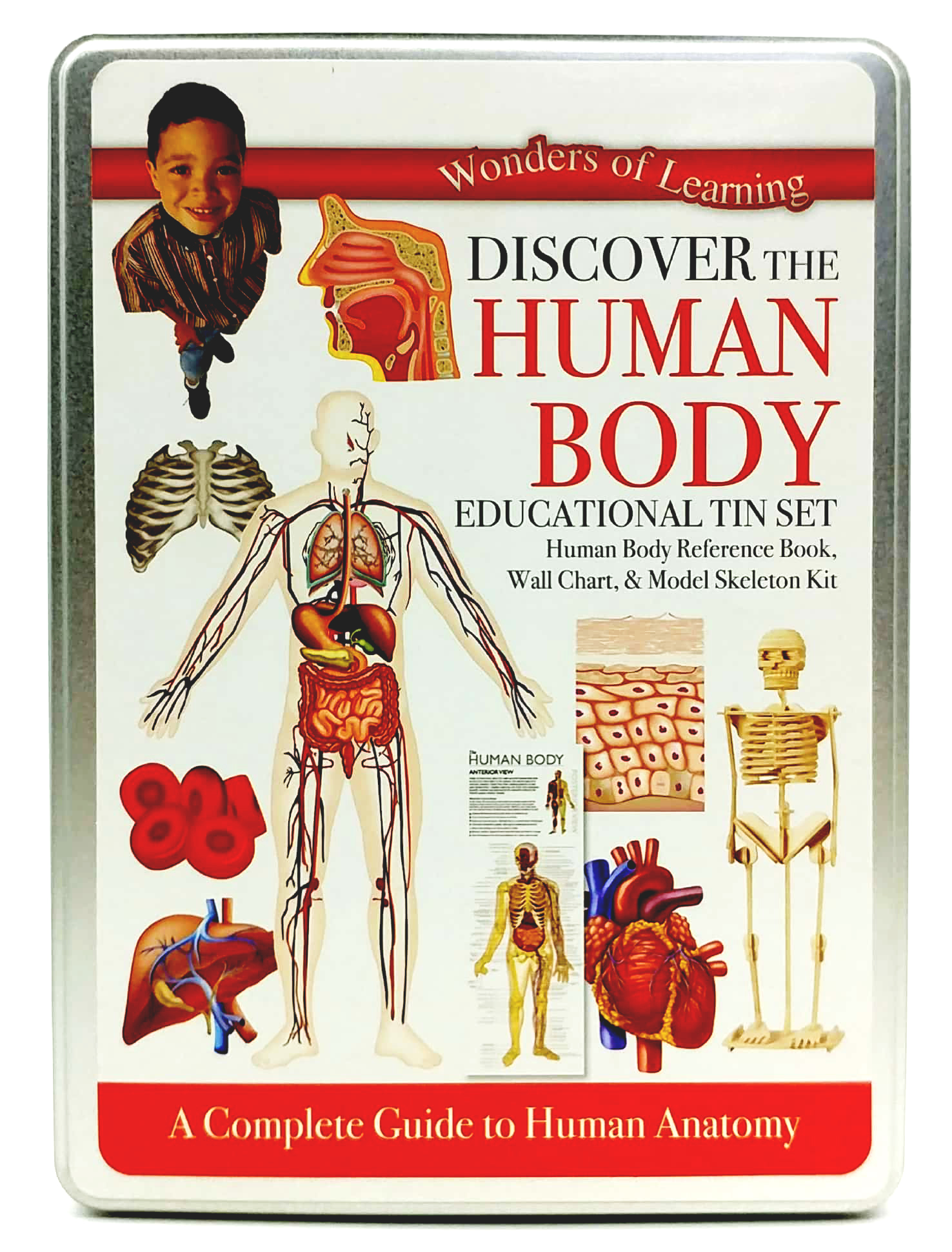 tin set - discover the human body - Ảnh 2