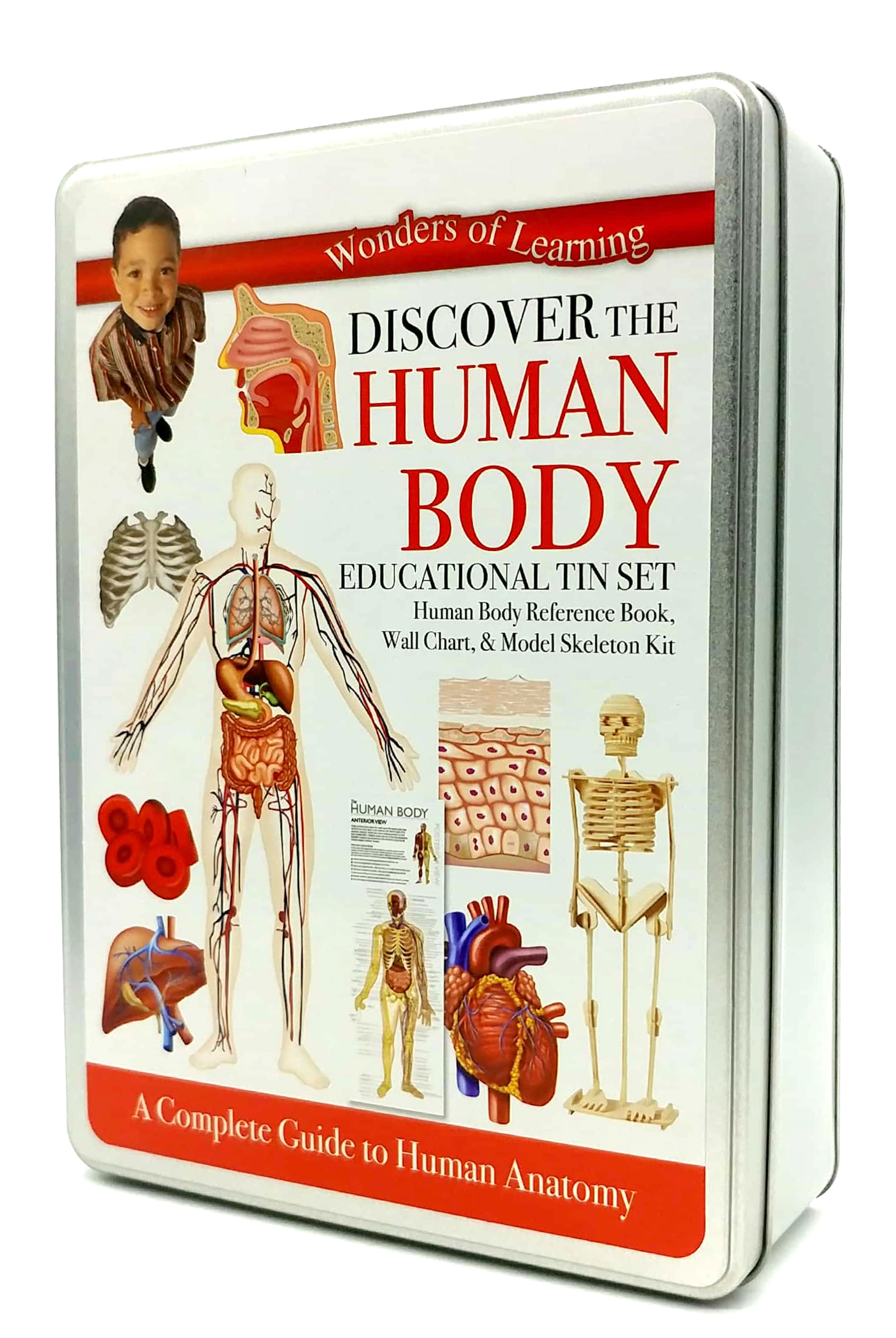 tin set - discover the human body - Ảnh 3