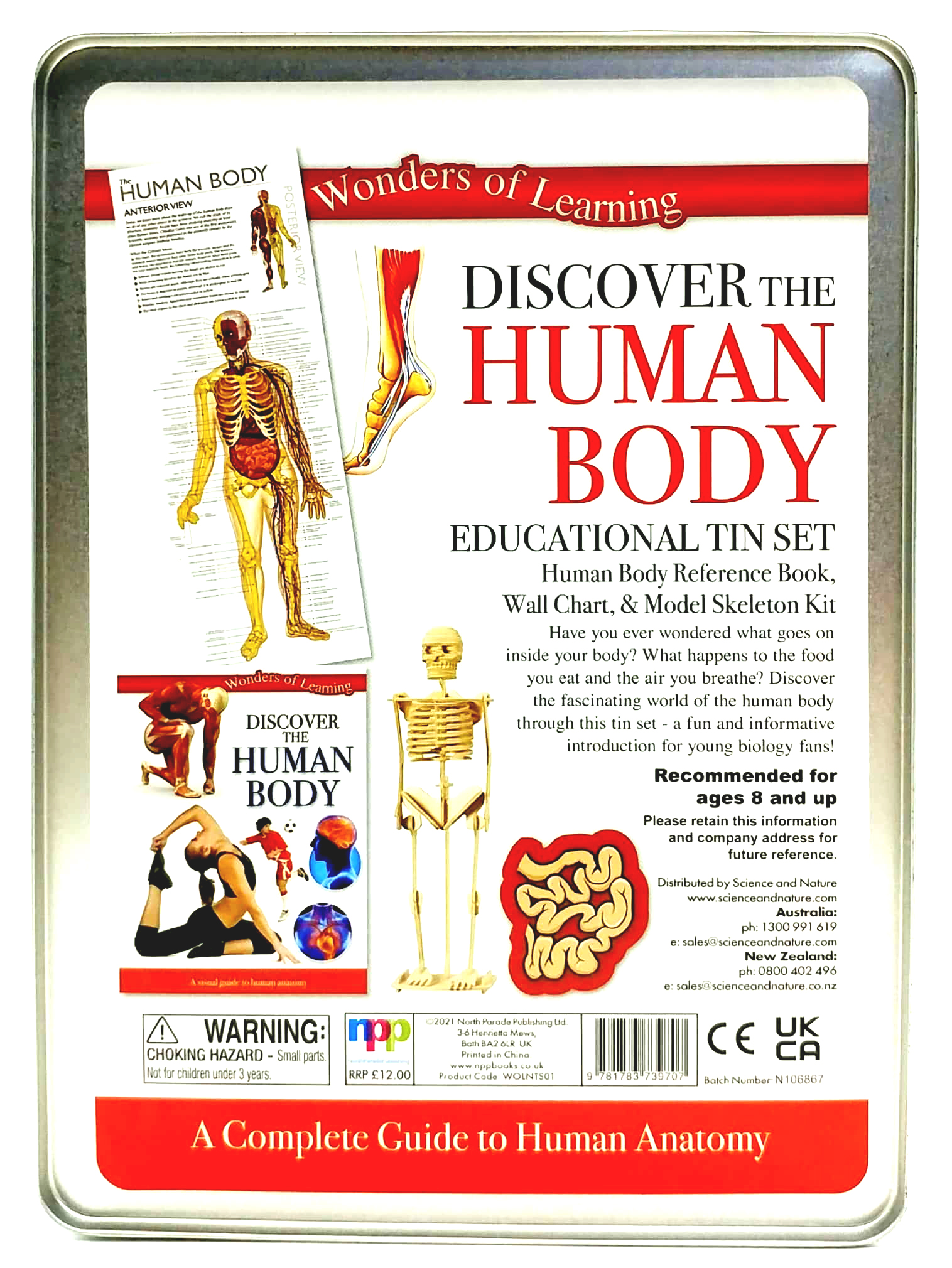 tin set - discover the human body - Ảnh 4