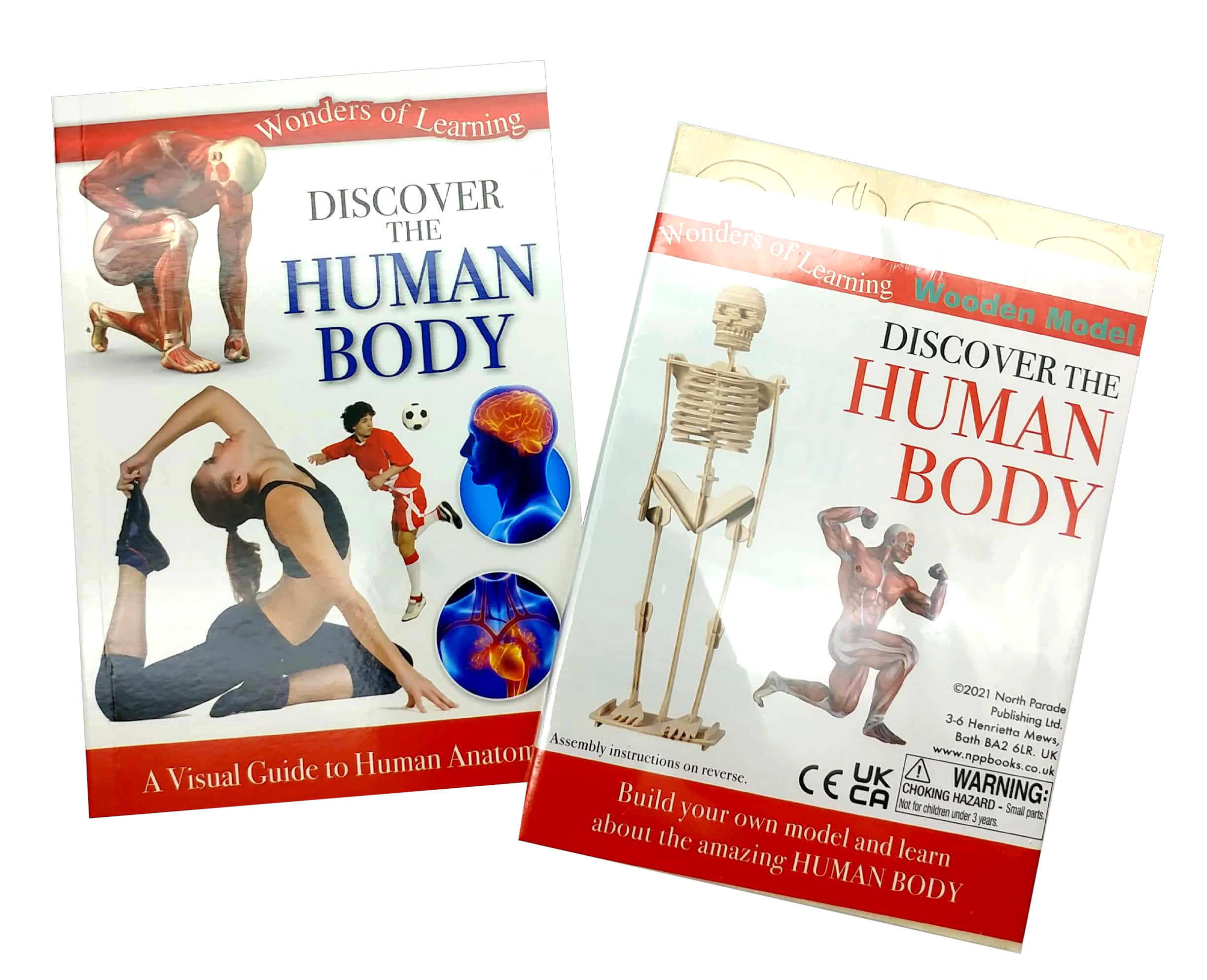 tin set - discover the human body - Ảnh 5