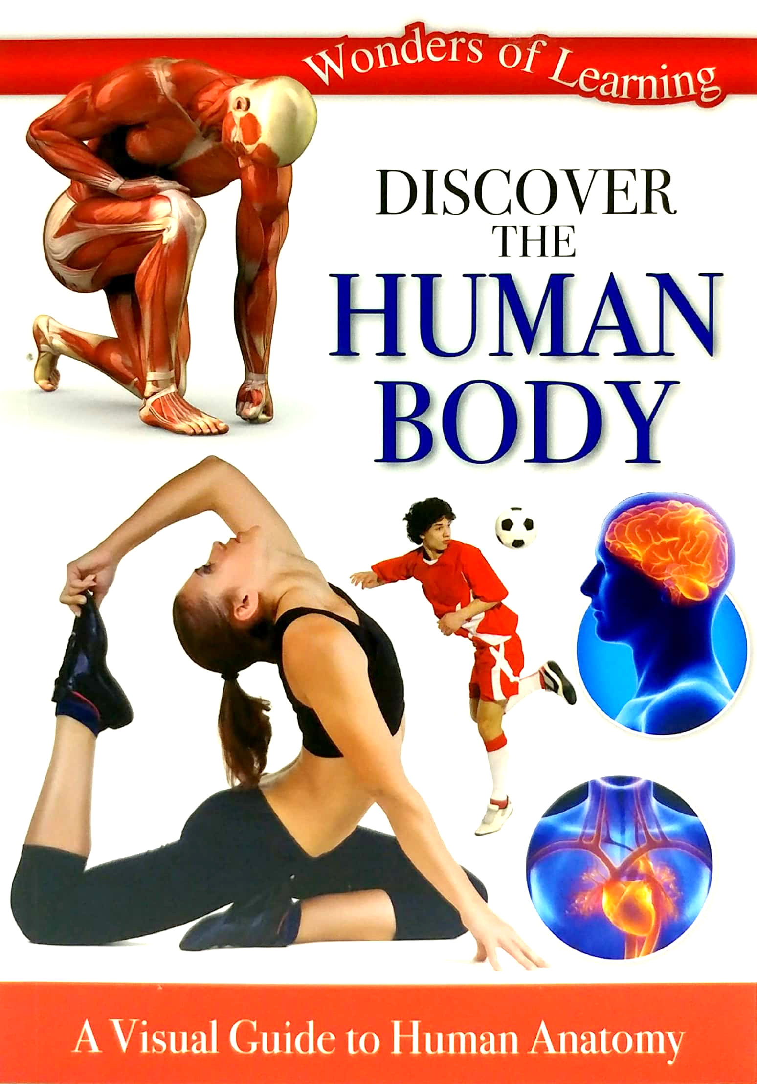 tin set - discover the human body - Ảnh 6
