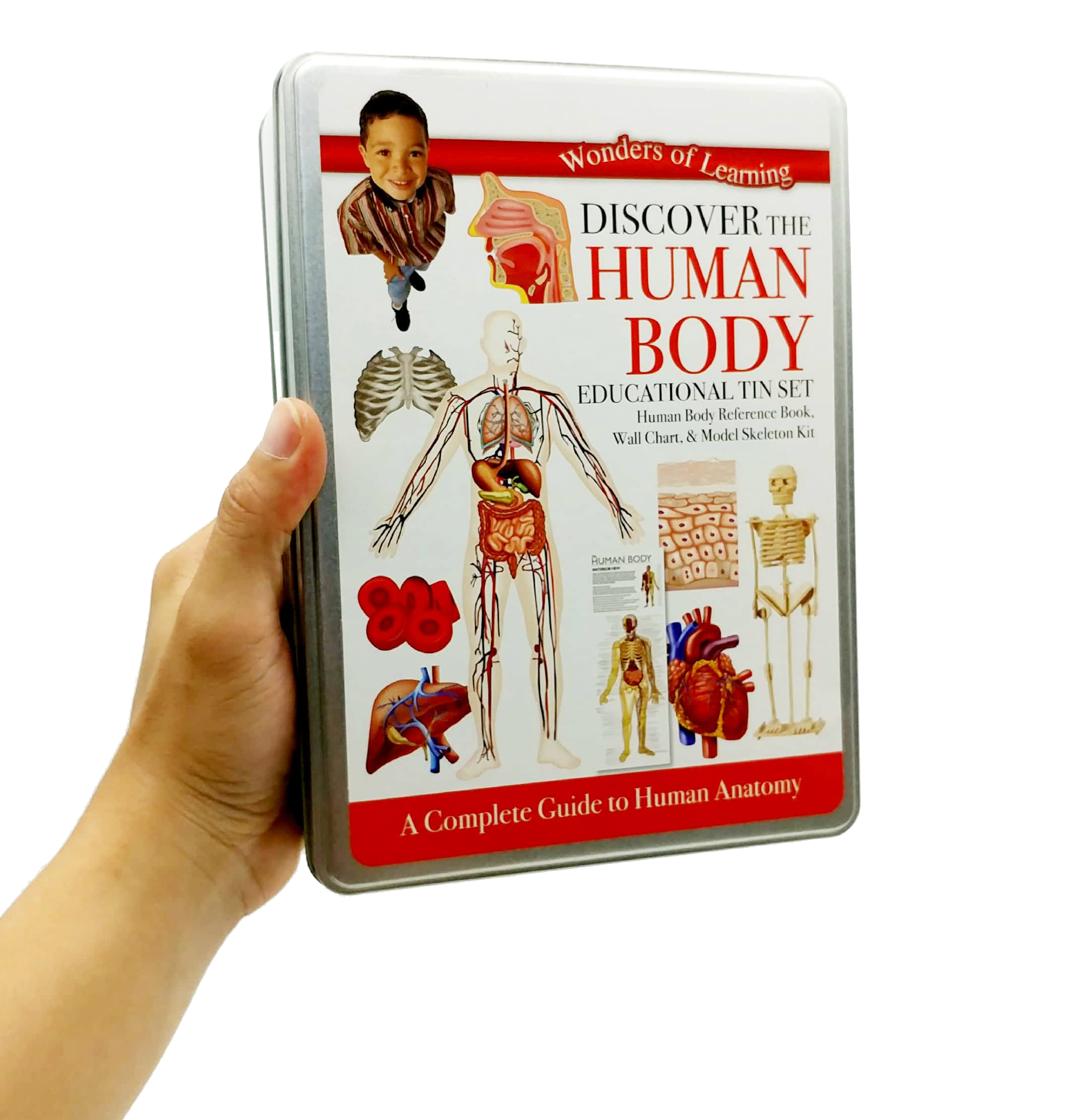 tin set - discover the human body - Ảnh 9