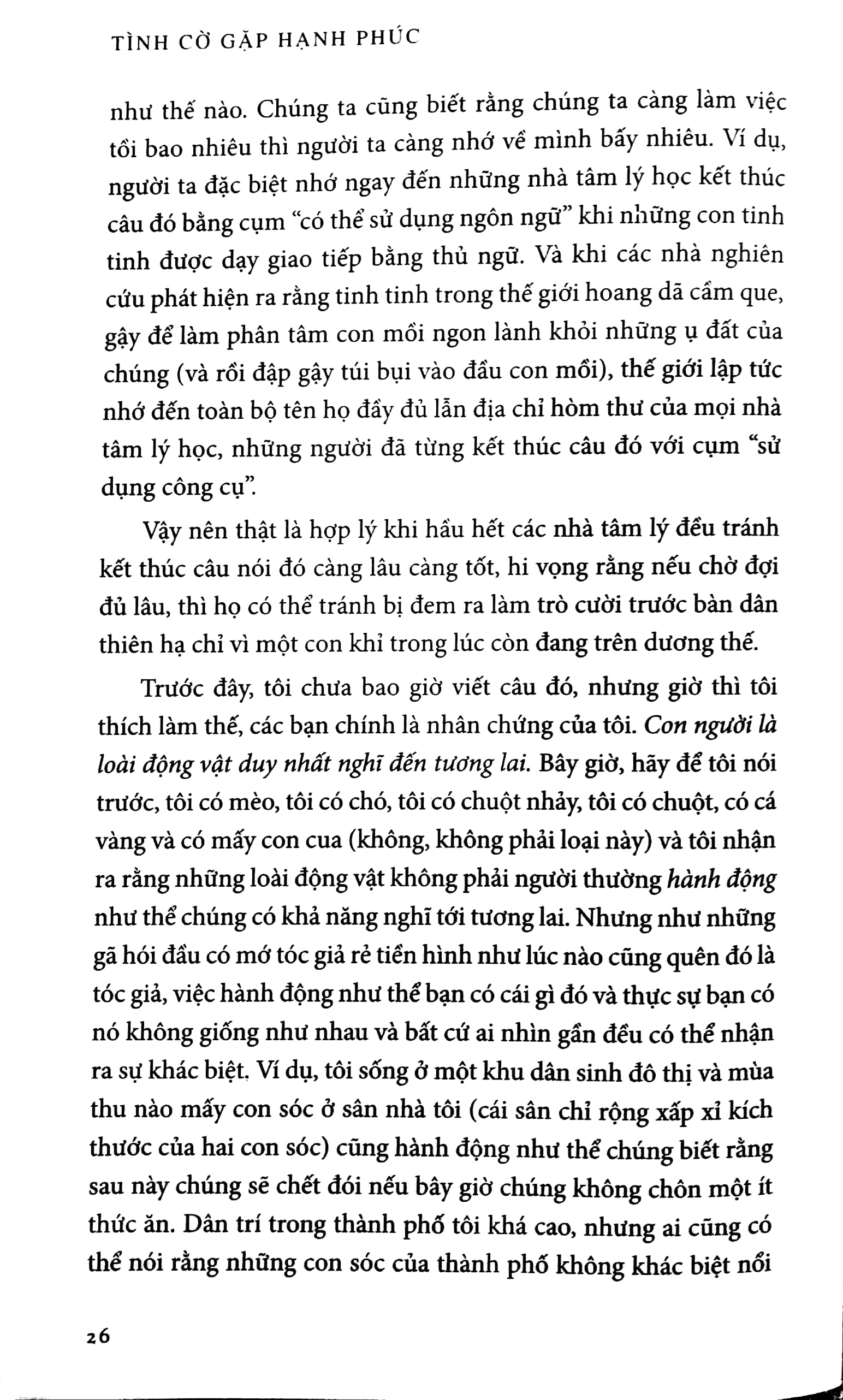 tình cờ gặp hạnh phúc - Ảnh 3