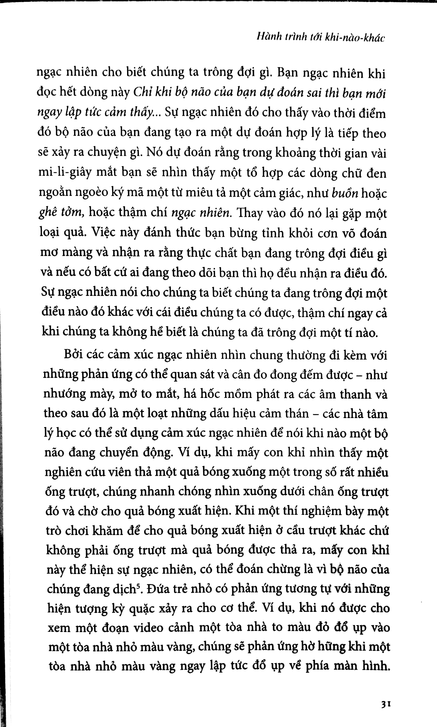 tình cờ gặp hạnh phúc - Ảnh 8