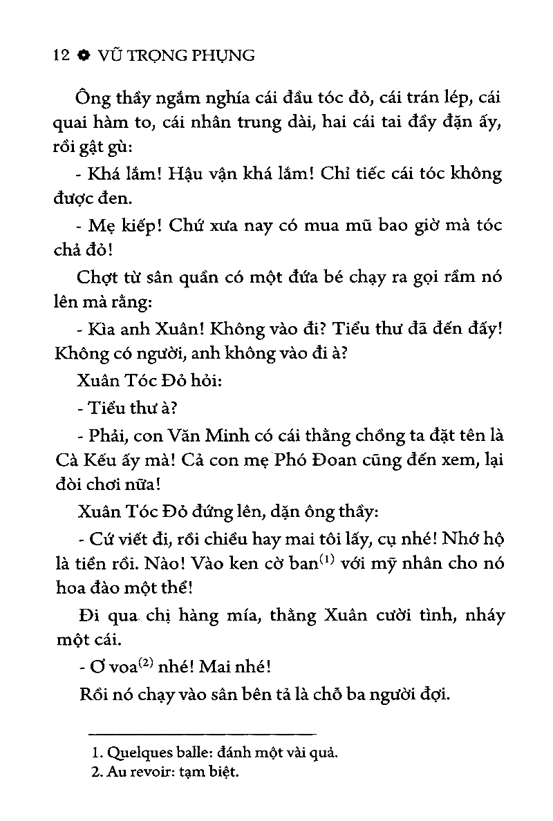 tinh hoa văn học việt nam - số đỏ - Ảnh 11