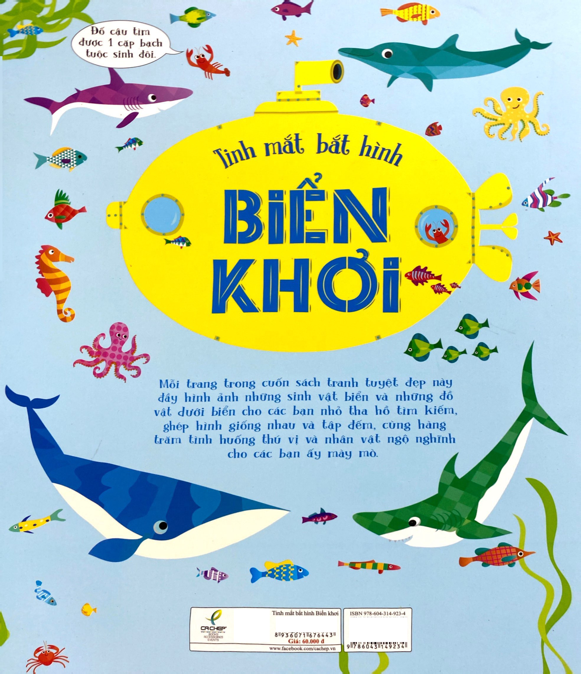 tinh mắt bắt hình - biển khơi - Ảnh 7
