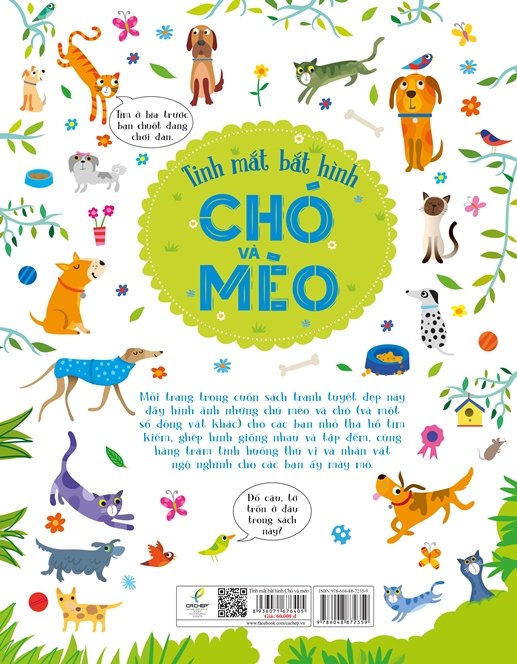 tinh mắt bắt hình - chó và mèo - Ảnh 5