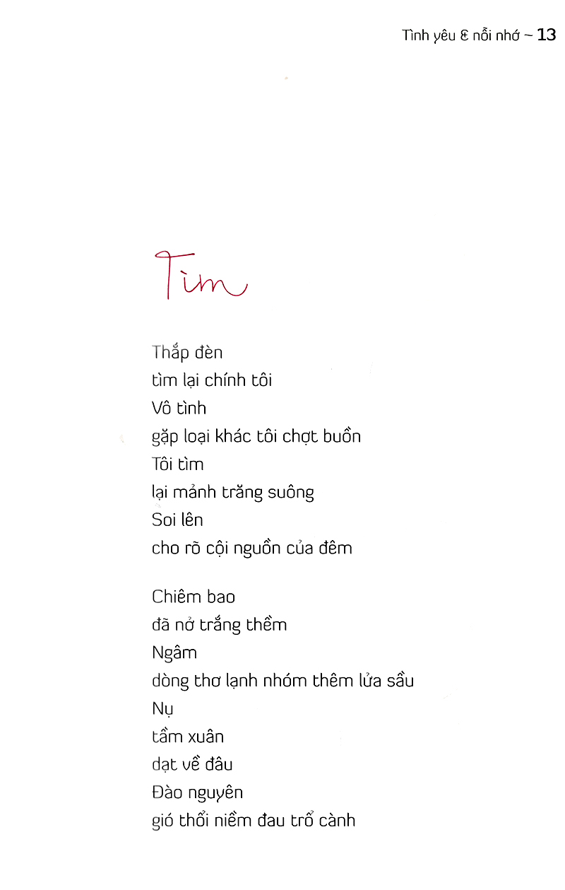 tình yêu và nỗi nhớ - Ảnh 13