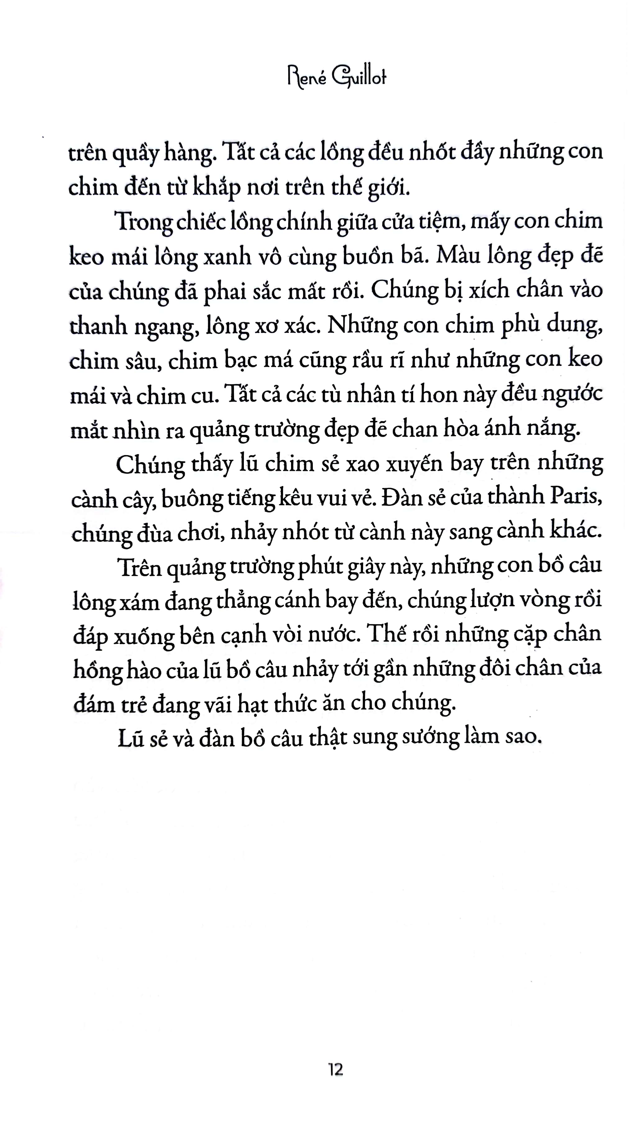 tipiti chim cổ đỏ - Ảnh 11