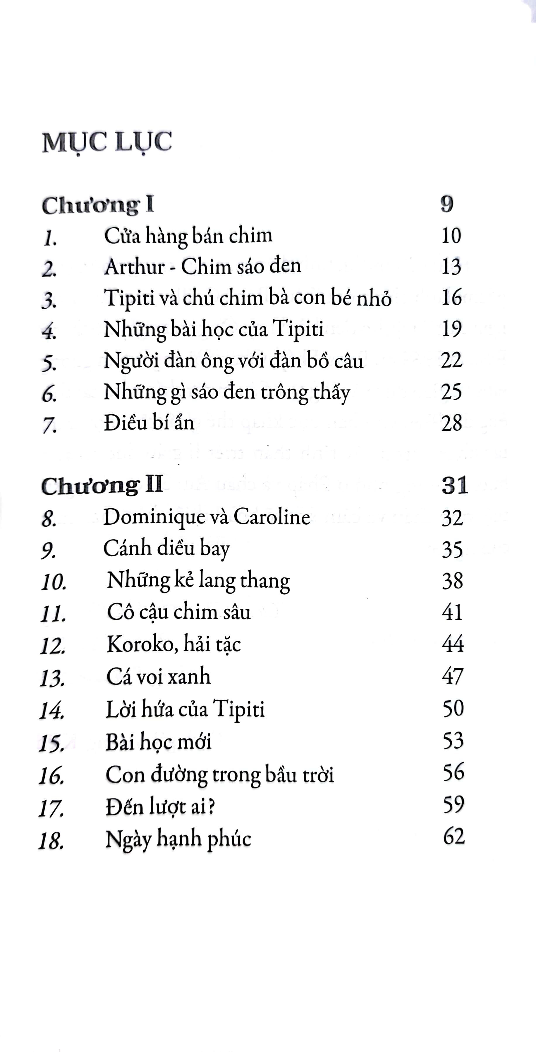tipiti chim cổ đỏ - Ảnh 6