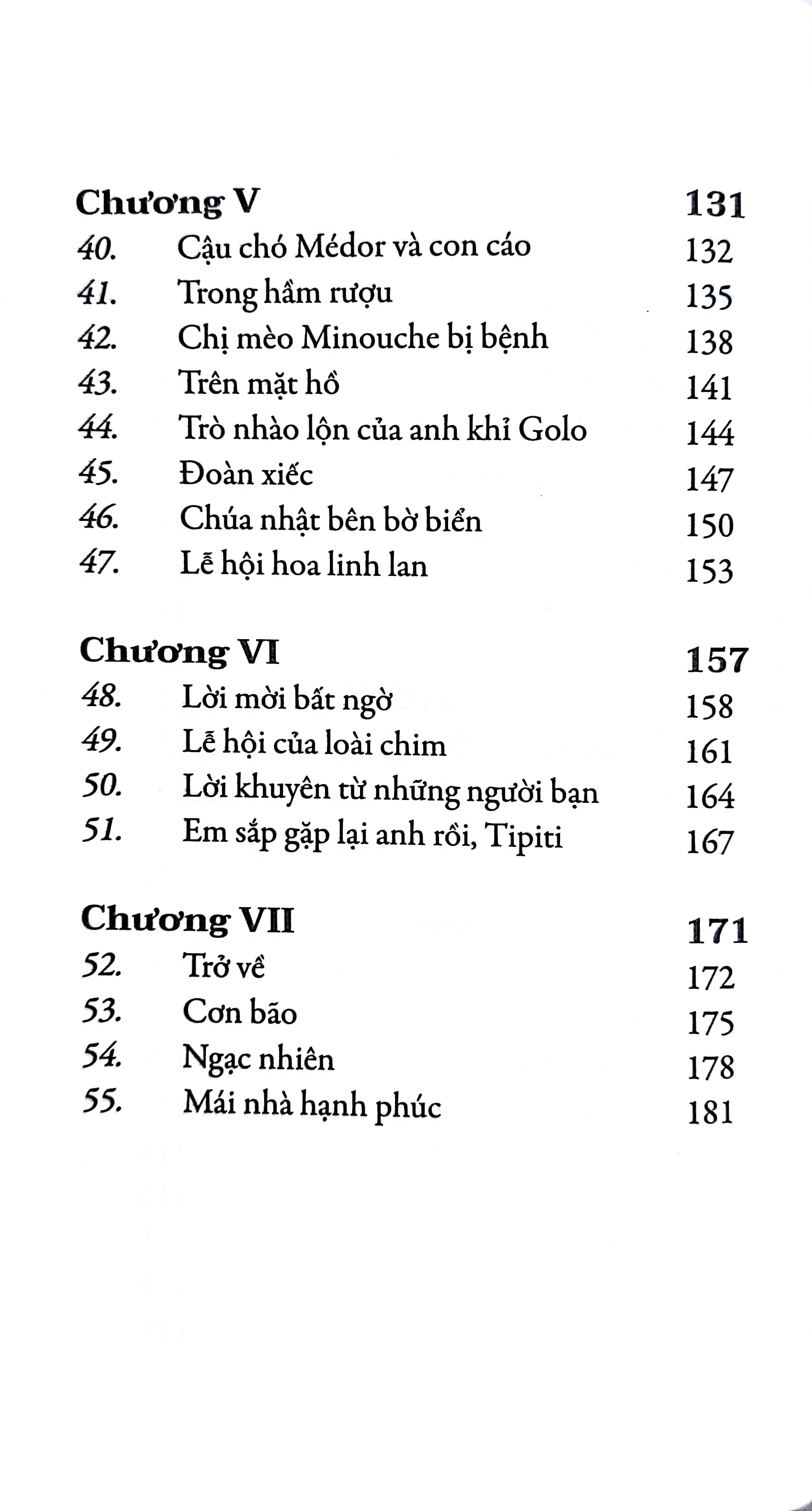 tipiti chim cổ đỏ - Ảnh 8