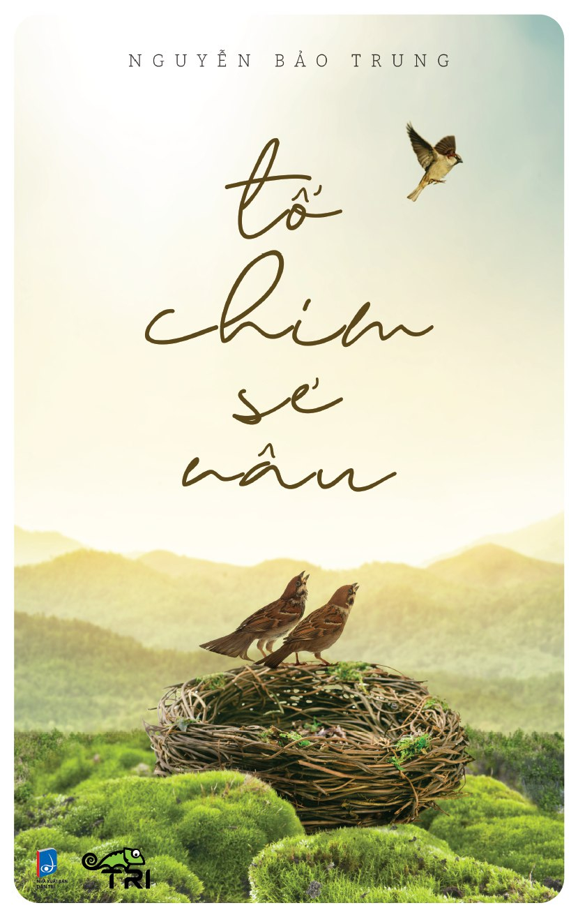 tổ chim sẻ nâu - Ảnh 2