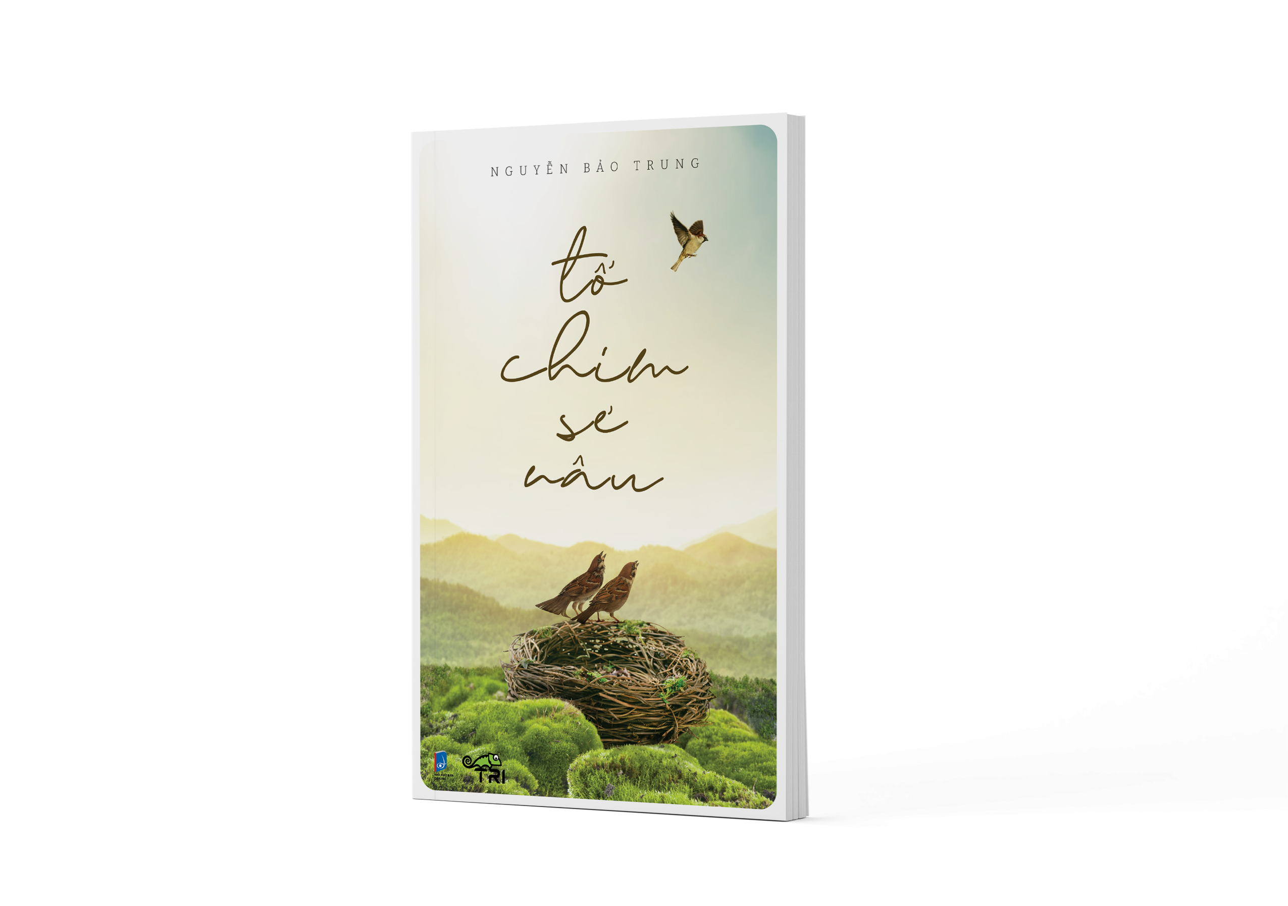 tổ chim sẻ nâu - Ảnh 4