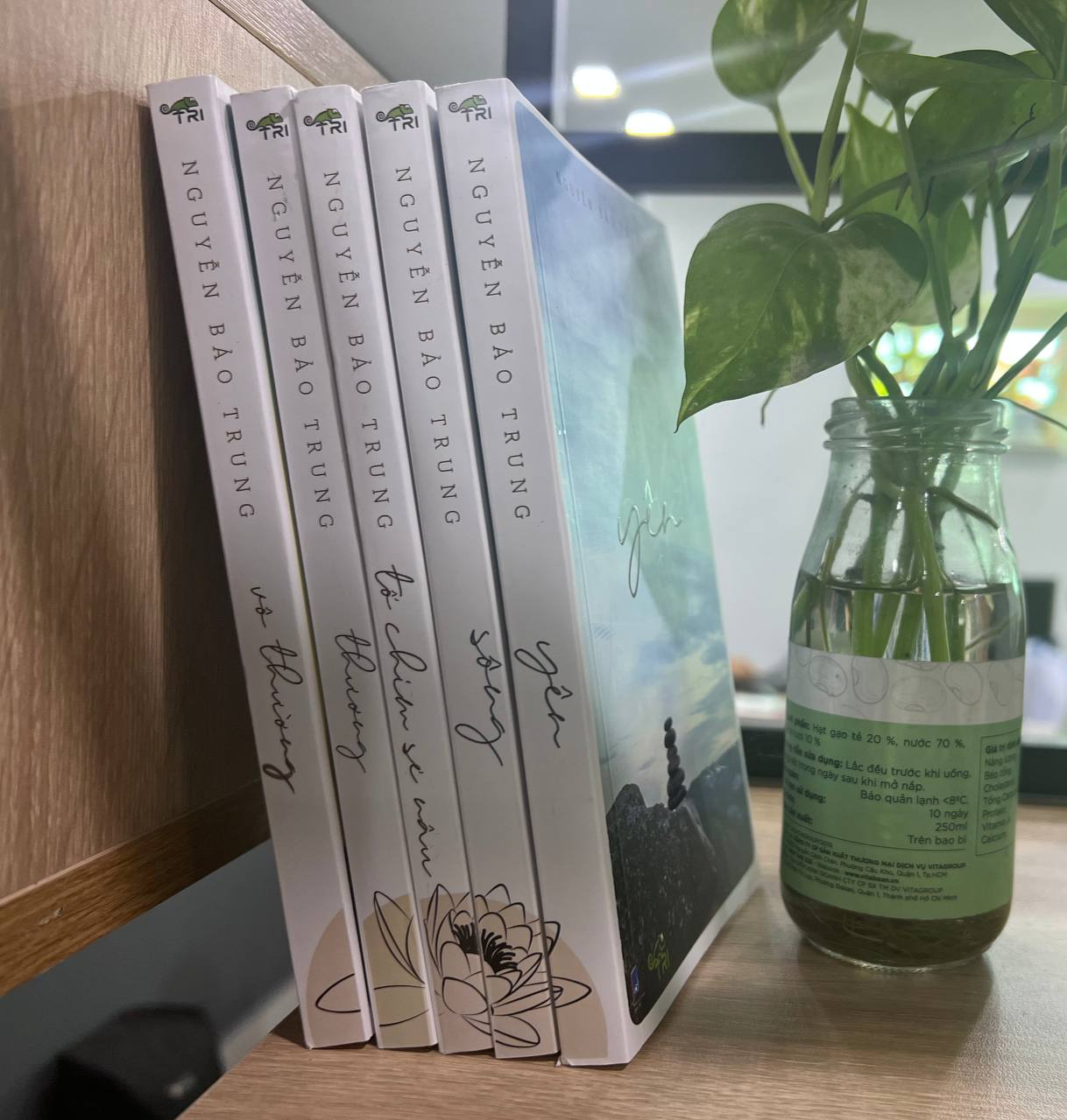 tổ chim sẻ nâu - Ảnh 7