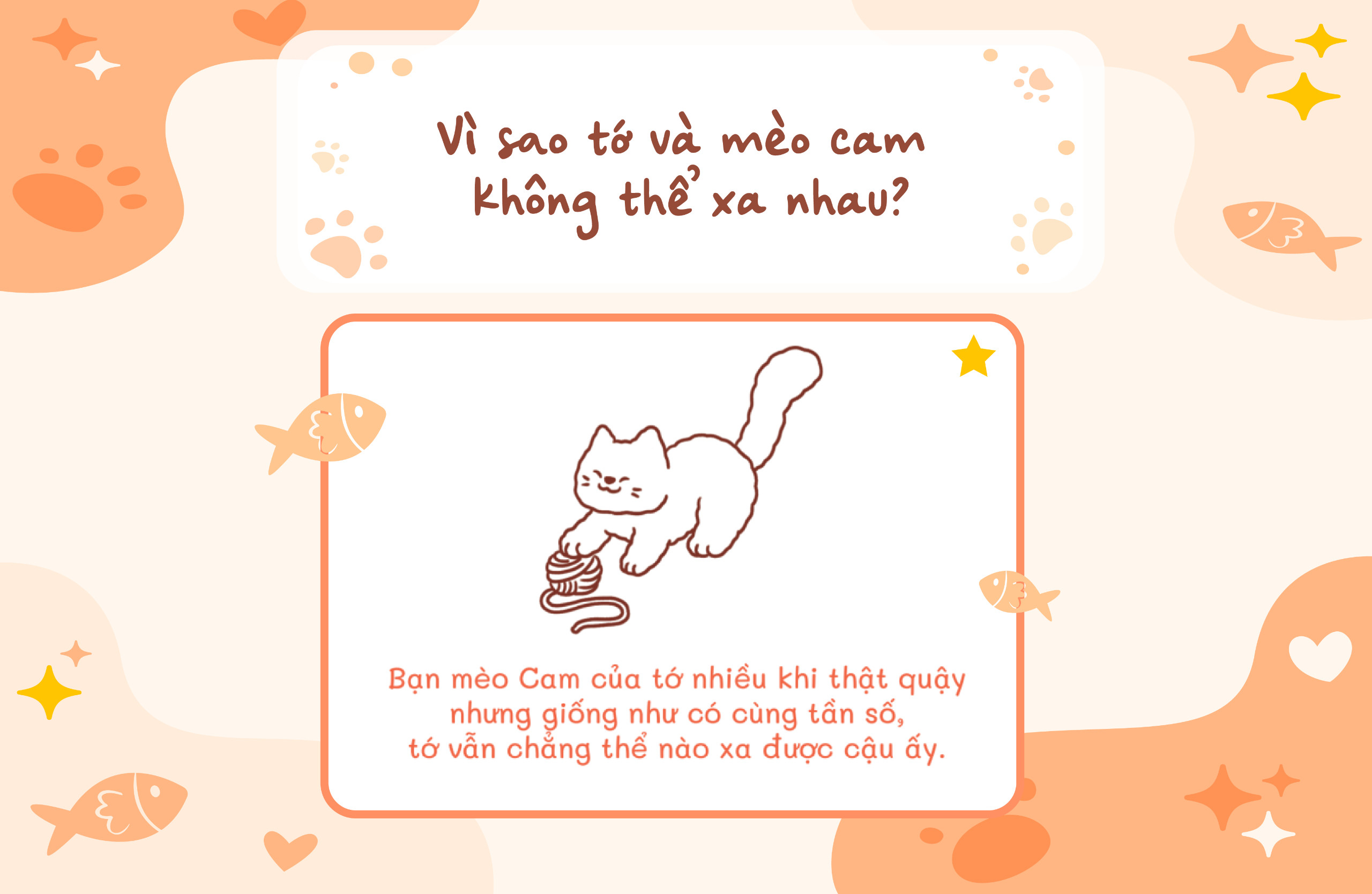 tớ có nuôi một chú mèo cam - Ảnh 4