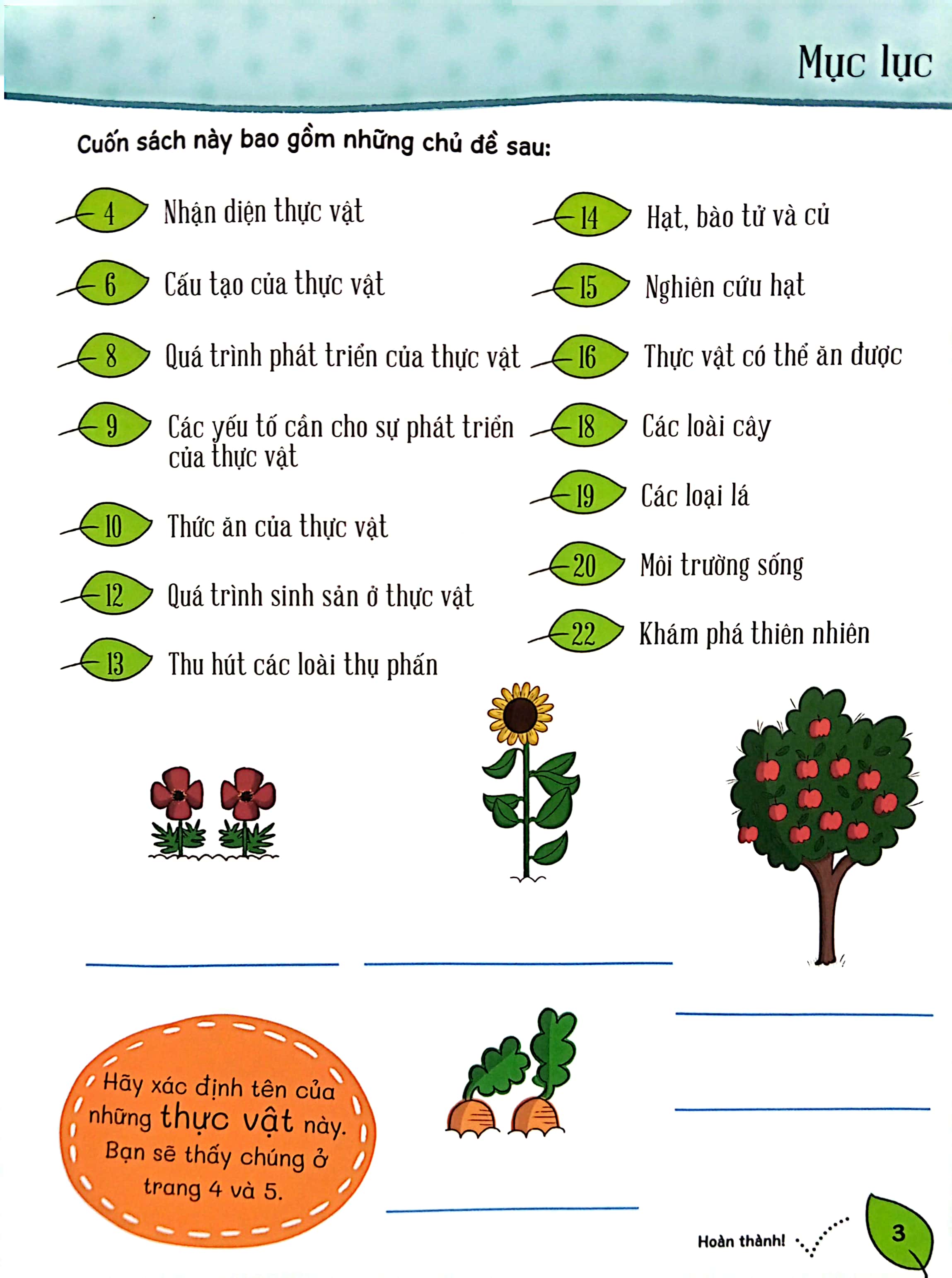 Tớ Đến Với Khoa Học: Đa Dạng Thực Vật - Ảnh 4
