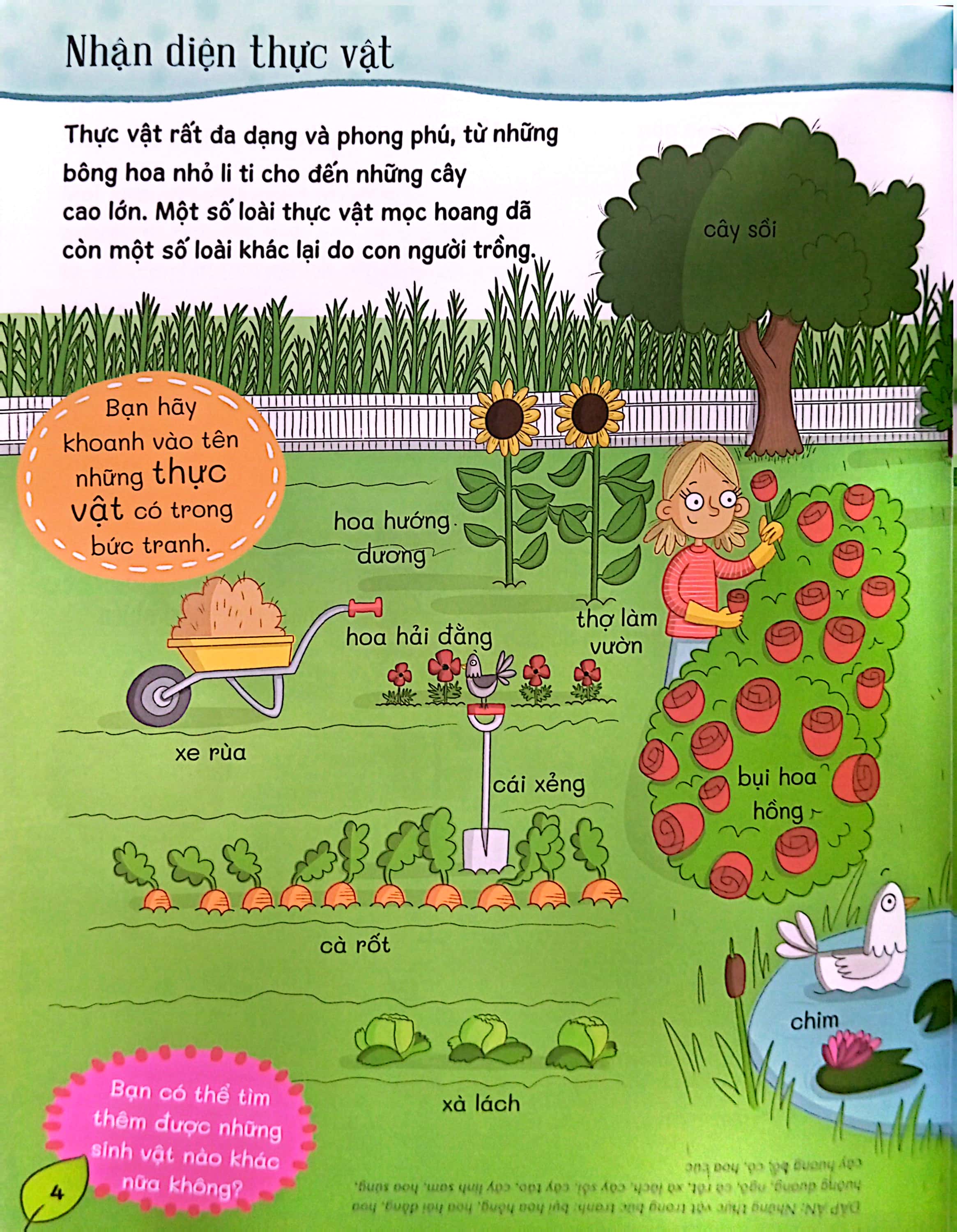 Tớ Đến Với Khoa Học: Đa Dạng Thực Vật - Ảnh 5