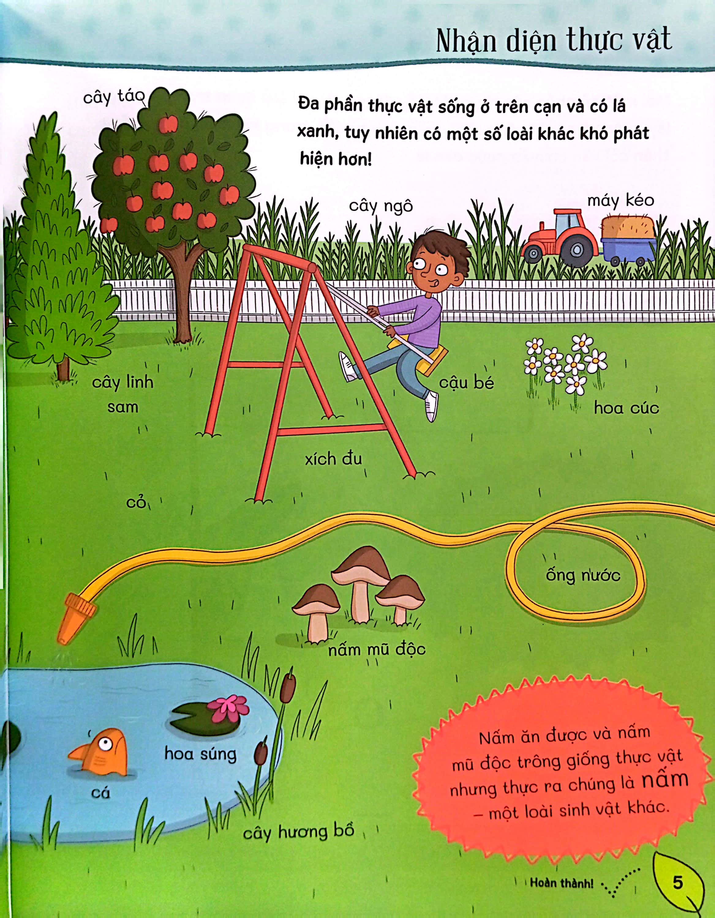 Tớ Đến Với Khoa Học: Đa Dạng Thực Vật - Ảnh 6