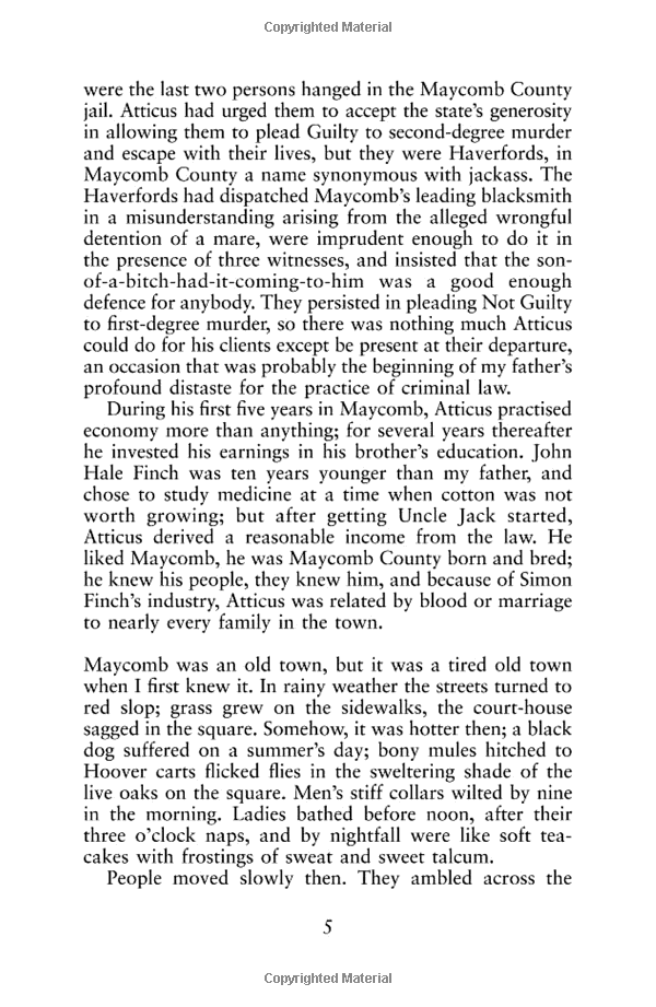 to kill a mockingbird - Ảnh 10