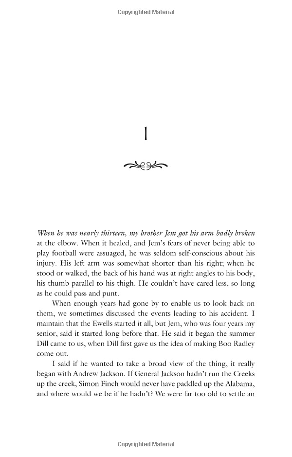 to kill a mockingbird - Ảnh 5