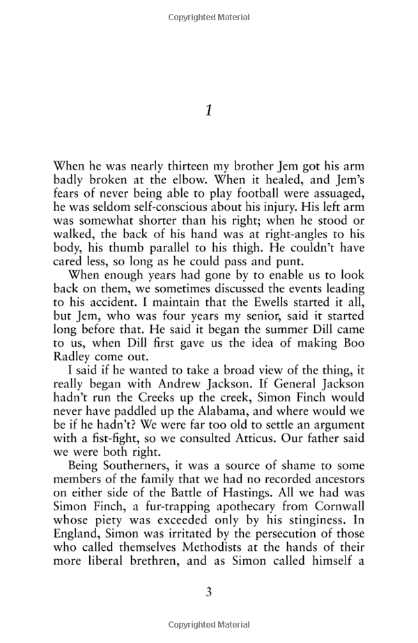 to kill a mockingbird - Ảnh 6