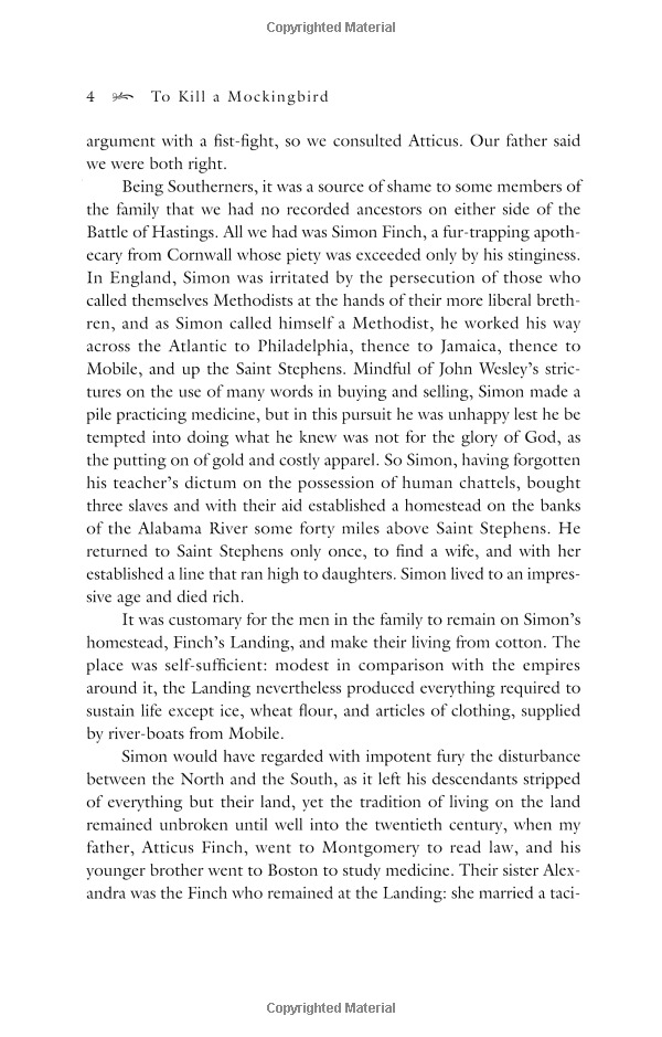 to kill a mockingbird - Ảnh 7