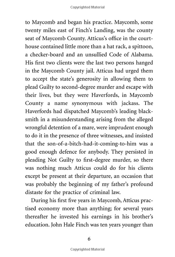 to kill a mockingbird (vintage childrens classics) - Ảnh 10