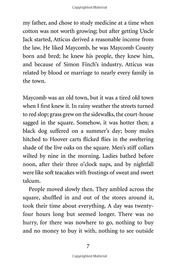 to kill a mockingbird (vintage childrens classics) - Ảnh 11