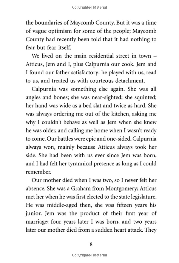 to kill a mockingbird (vintage childrens classics) - Ảnh 12