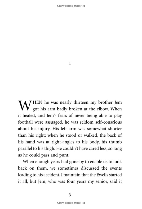 to kill a mockingbird (vintage childrens classics) - Ảnh 7