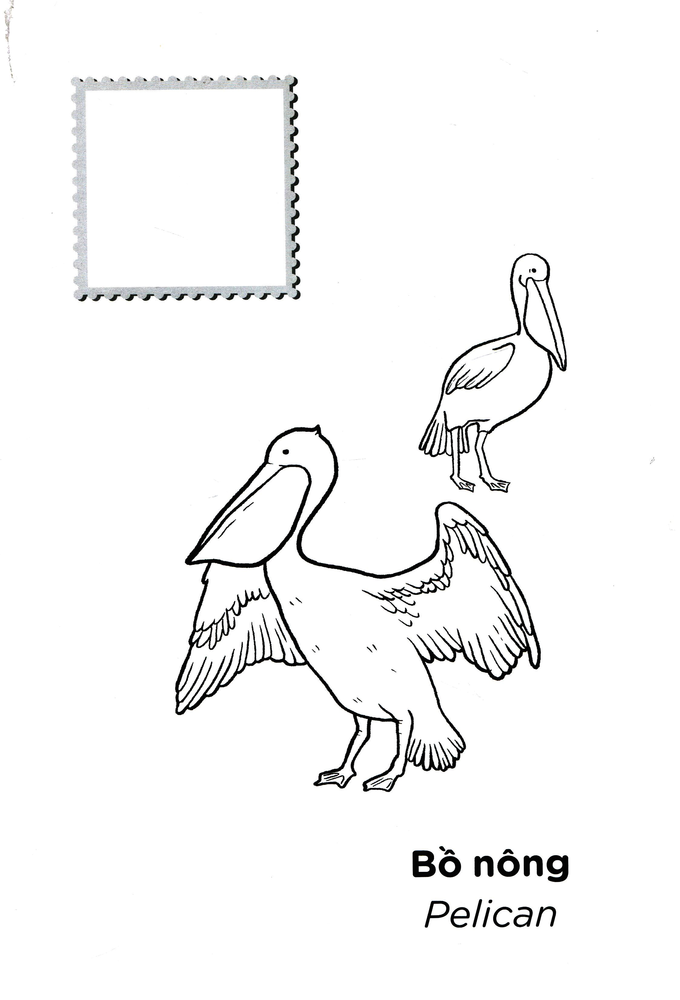 tớ là họa sĩ - các loài chim (tái bản 2020) - Ảnh 3