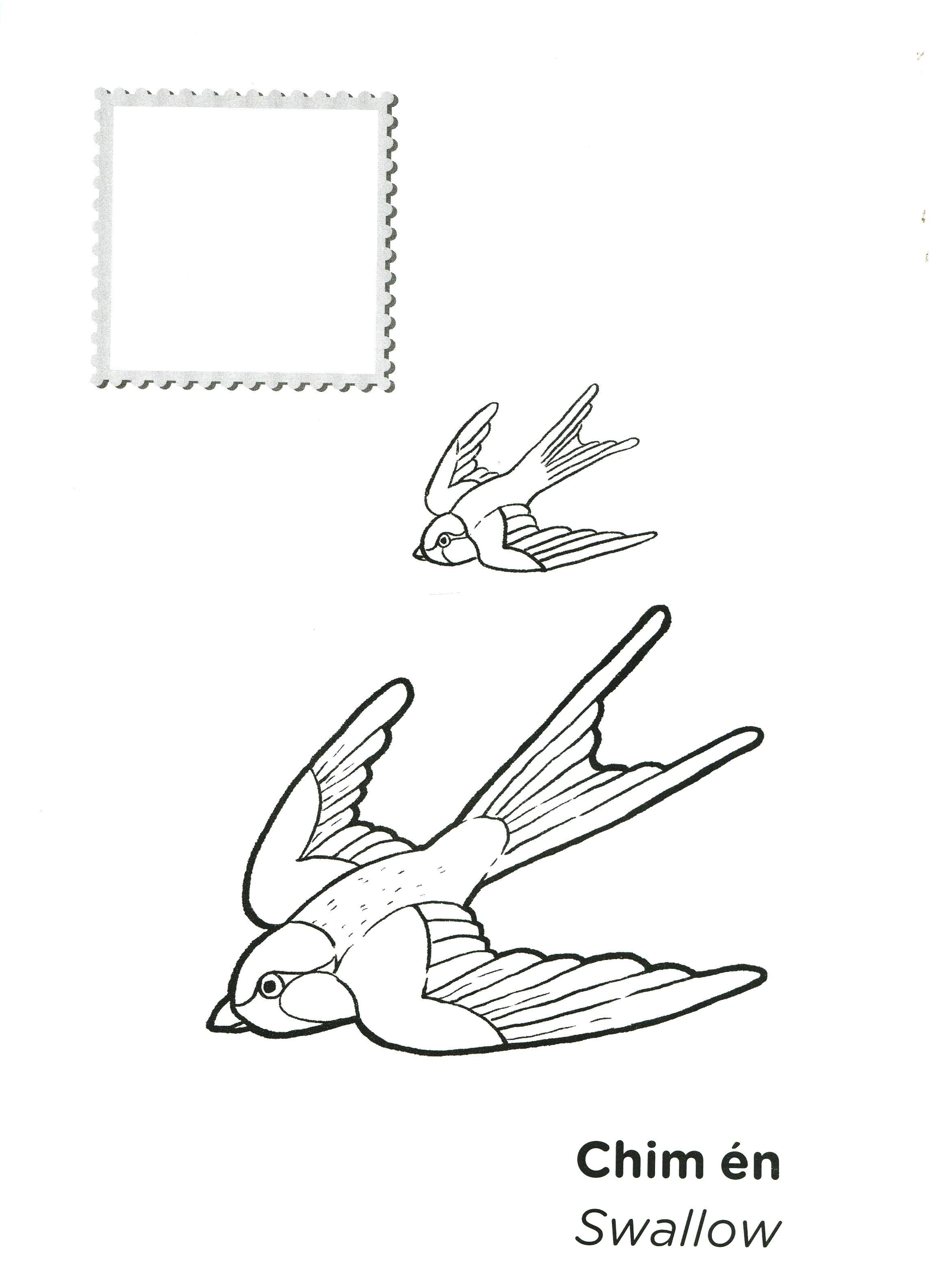 tớ là họa sĩ - các loài chim (tái bản 2020) - Ảnh 6