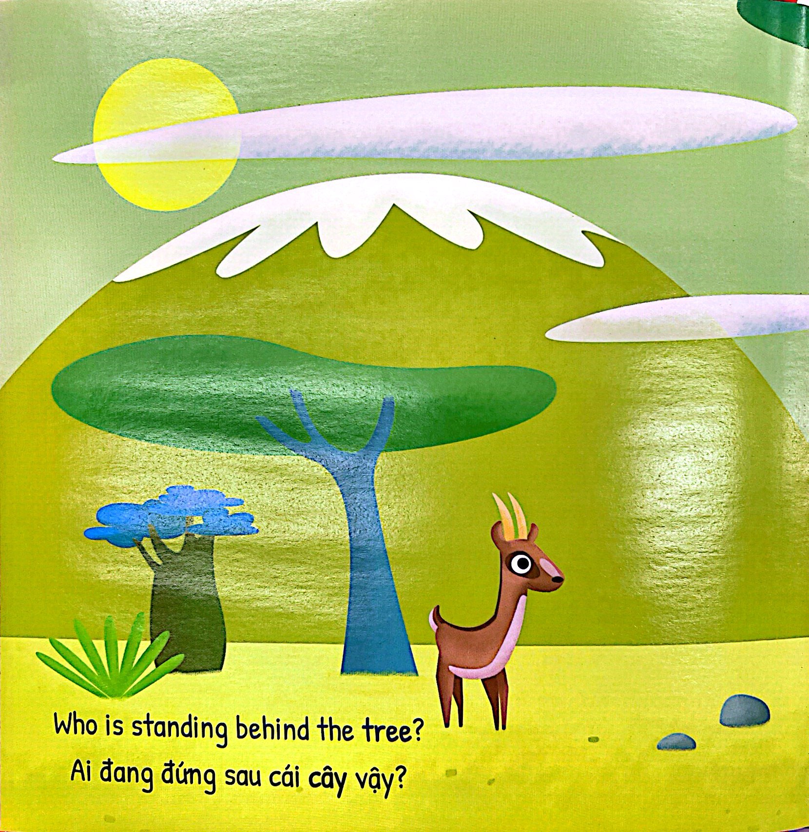 tớ mặc gì vậy - bìa cứng - Ảnh 6