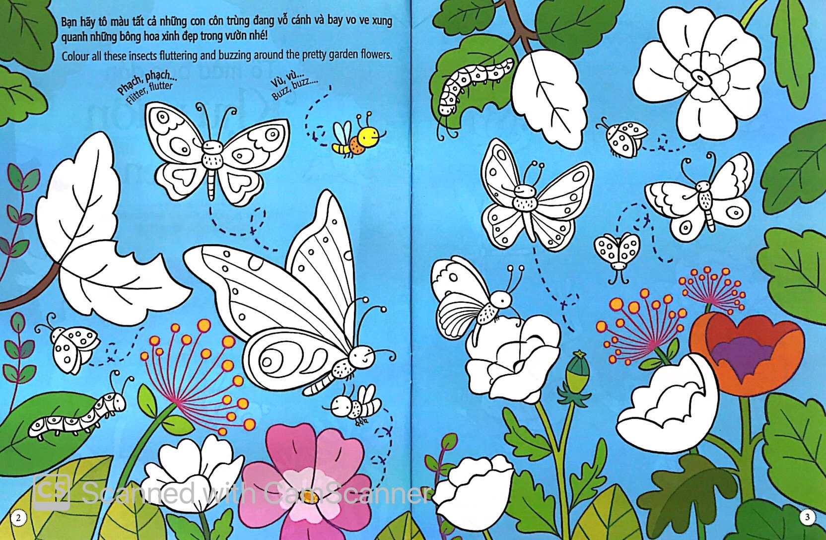 tô màu bóc dán - khu vườn - garden - Ảnh 2